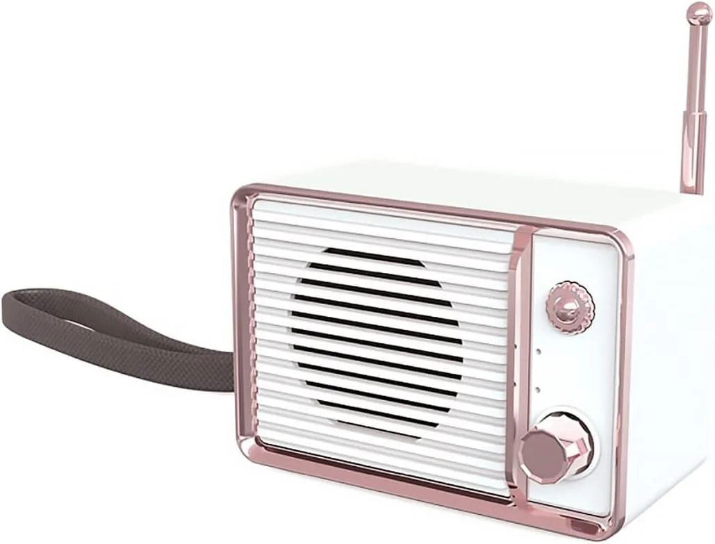 اسپیکر بلوتوثی رادیو قدیمی ZURBAA، صورتی، استریو بی سیم، اسپیکر قابل حمل با صدای قدرتمند، کارت TF (رنگ: Hortelé) اسپیکر بلوتوثی رادیو قدیمی ZURBAA، صورتی، استریو بی سیم، اسپیکر قابل حمل با صدای قدرتمند، کارت TF (رنگ: Hortelé)