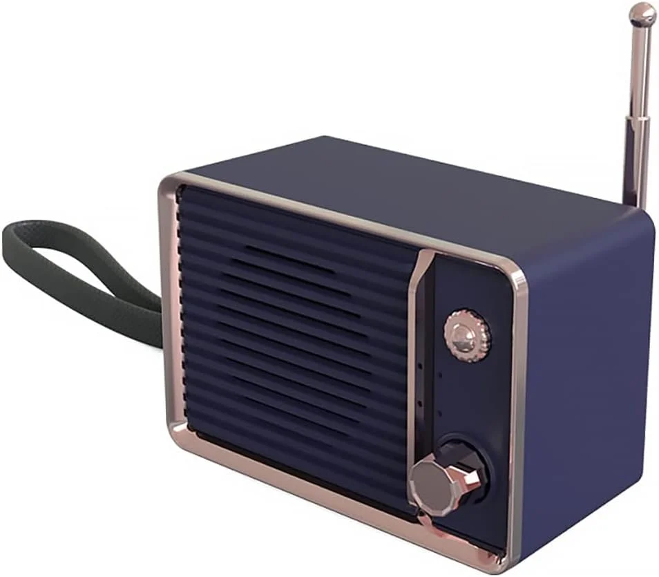 اسپیکر رادیویی قدیمی بلوتوثی صورتی، اسپیکر استریو بی سیم، اسپیکر قابل حمل با صدای قدرتمند و کارت TF (رنگ: Hortelé) اسپیکر رادیویی قدیمی بلوتوثی صورتی، اسپیکر استریو بی سیم، اسپیکر قابل حمل با صدای قدرتمند و کارت TF (رنگ: Hortelé)