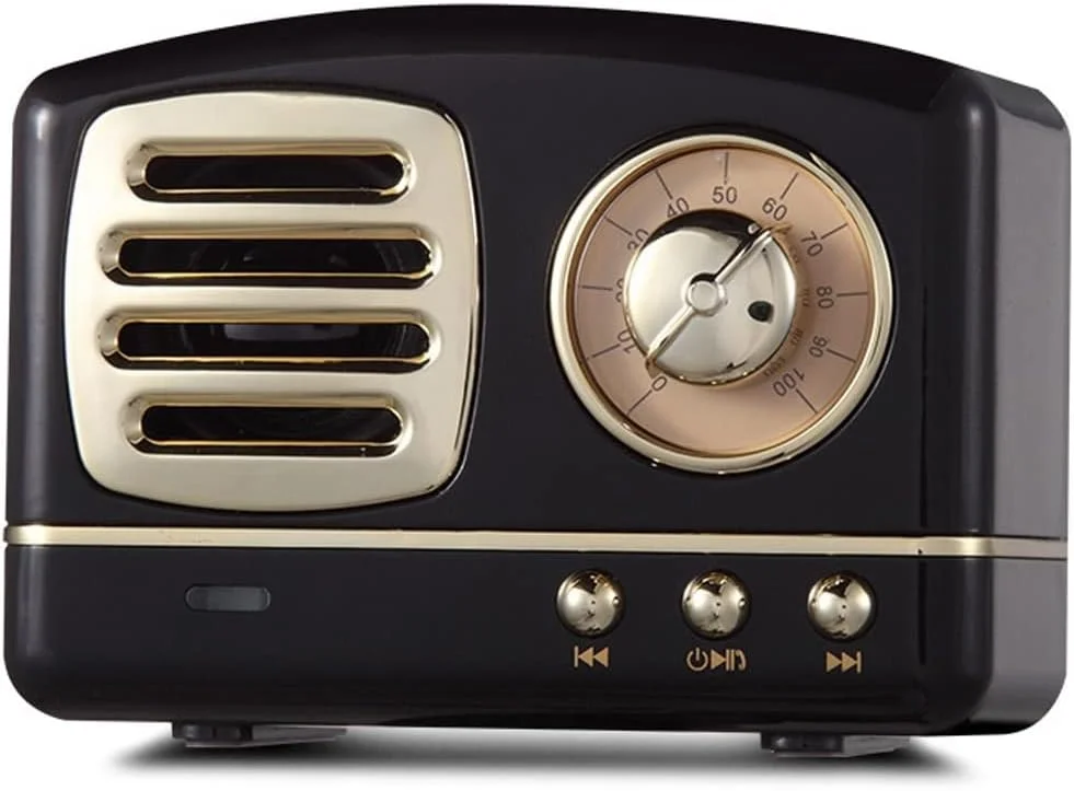 اسپیکر بلوتوثی بی سیم ZURBAA، پخش کننده موسیقی قابل حمل، اسپیکر دیجیتال چند منظوره