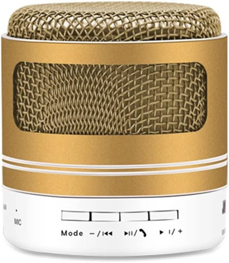 اسپیکر بلوتوث بی سیم ZURBAA با رادیاتور بیس سفارشی و جعبه مسافرتی ضد آب (رنگ: طلایی) اسپیکر بلوتوث بی سیم ZURBAA با رادیاتور بیس سفارشی و جعبه مسافرتی ضد آب (رنگ: طلایی)