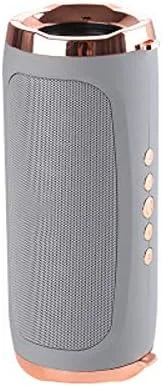 اسپیکر بلوتوثی بی سیم پرقدرت ZURBAA، استریو ضد آب با بیس قوی، قابل حمل، مناسب فضای باز، پخش کننده موسیقی، ساب ووفر (رنگ: خاکستری)