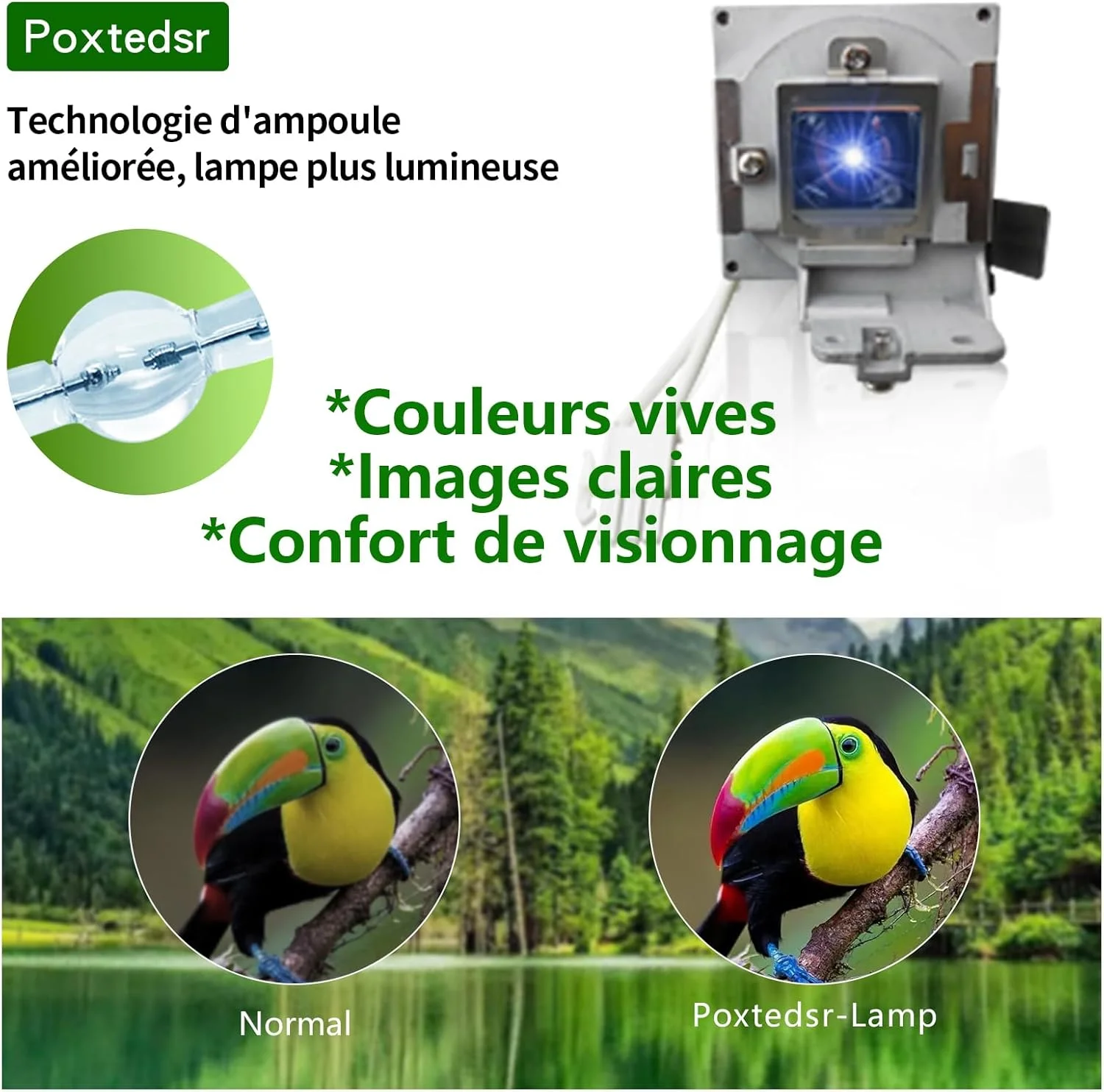 لامپ پروژکتور جایگزین Poxtedsr 5J.J9R05.001 سازگار با Benq MS504, MS524, MS524A, MW526A, MX525, MX525A، همراه با محفظه