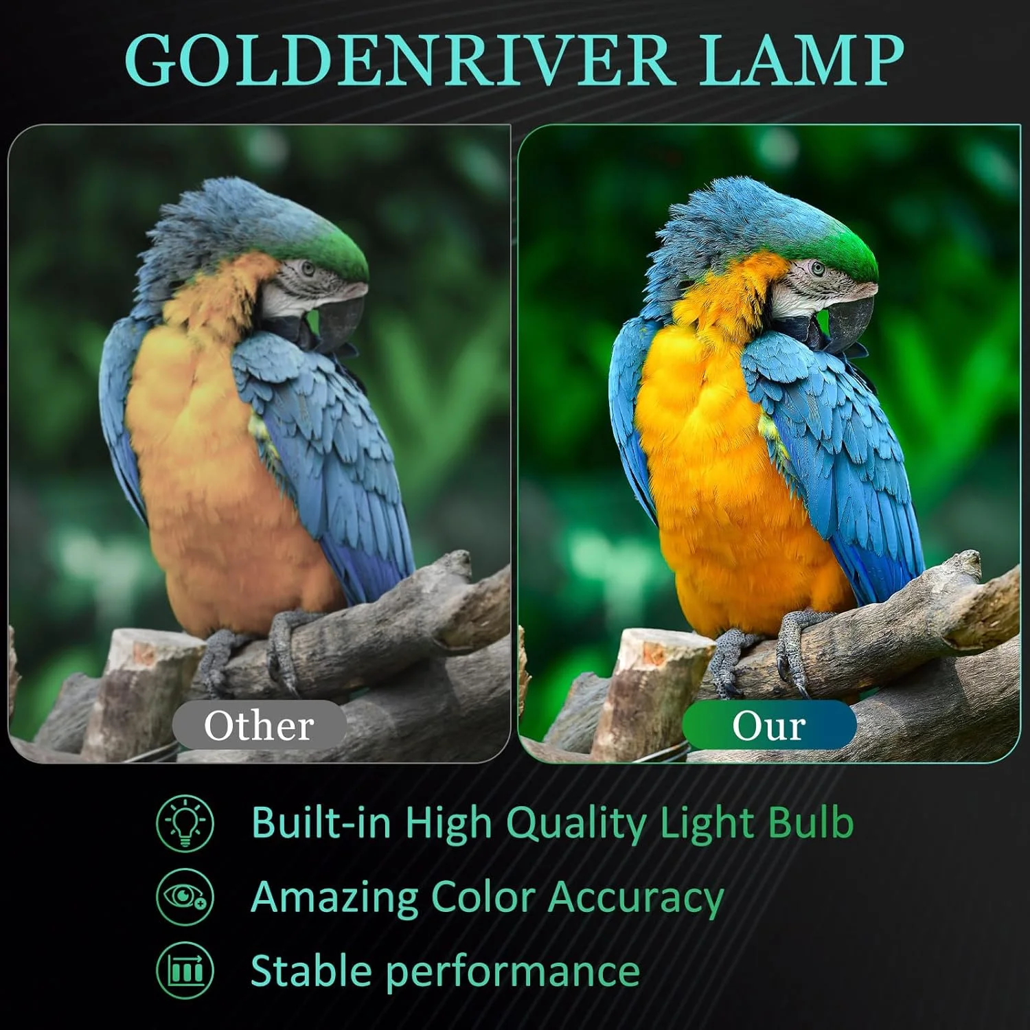 لامپ پروژکتور جایگزین گلدن ریور DT00201 با محفظه سازگار با HITACHI CP-X935 CP-X935W لامپ پروژکتور جایگزین گلدن ریور DT00201 با محفظه سازگار با HITACHI CP-X935 CP-X935W