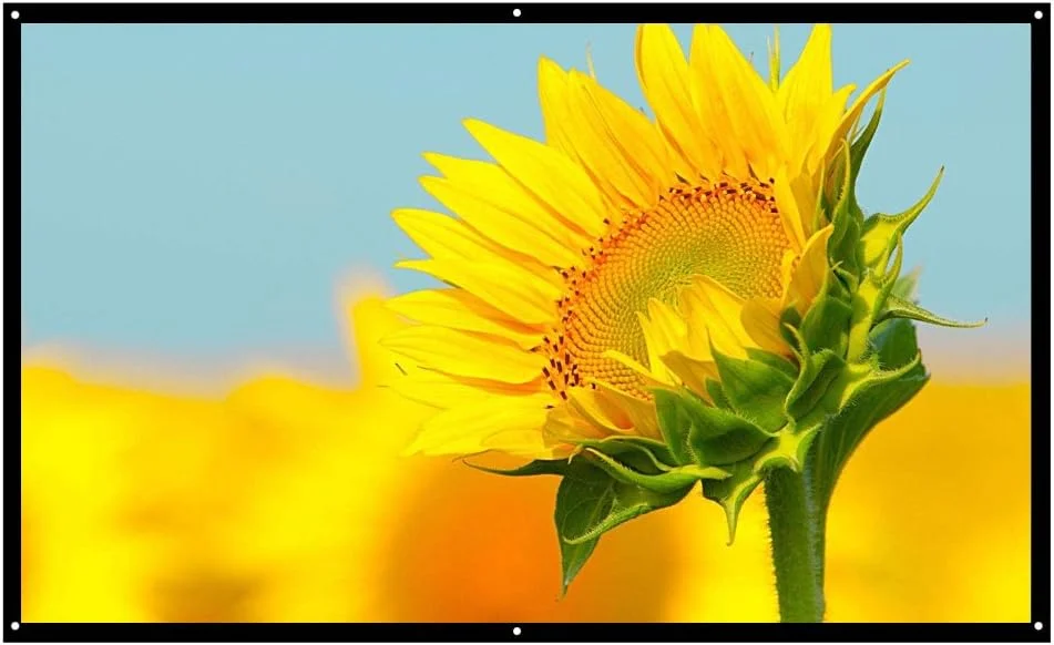 پرده نمایش پروژکتور قابل حمل 70 اینچی HD 16:9 از جنس داکرون سفید، مناسب برای سینمای خانگی تاشو، قابل نصب روی دیوار، مناسب برای استفاده در فضای داخلی و خارجی