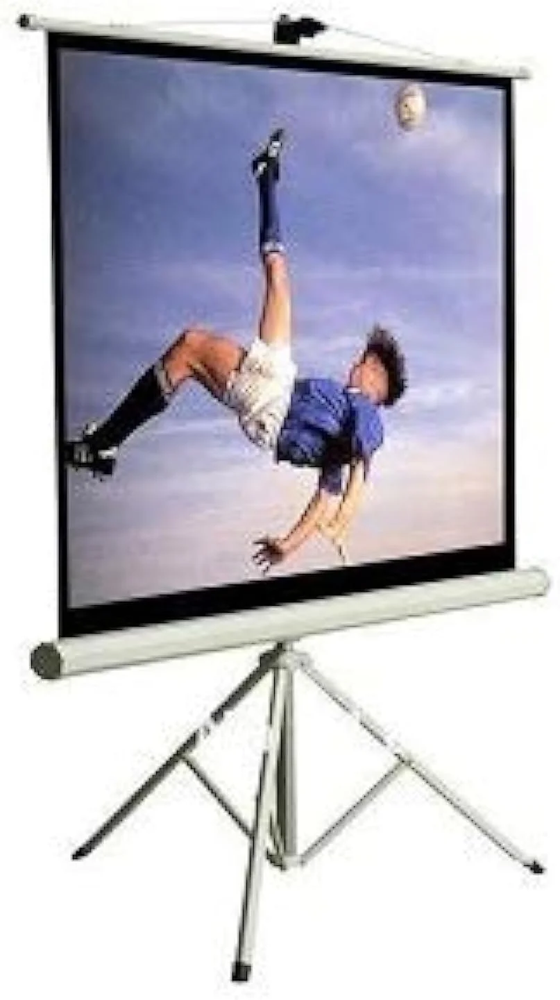 پرده نمایش پروژکتور پایه دار آی ویو (240x240 سانتی متر)