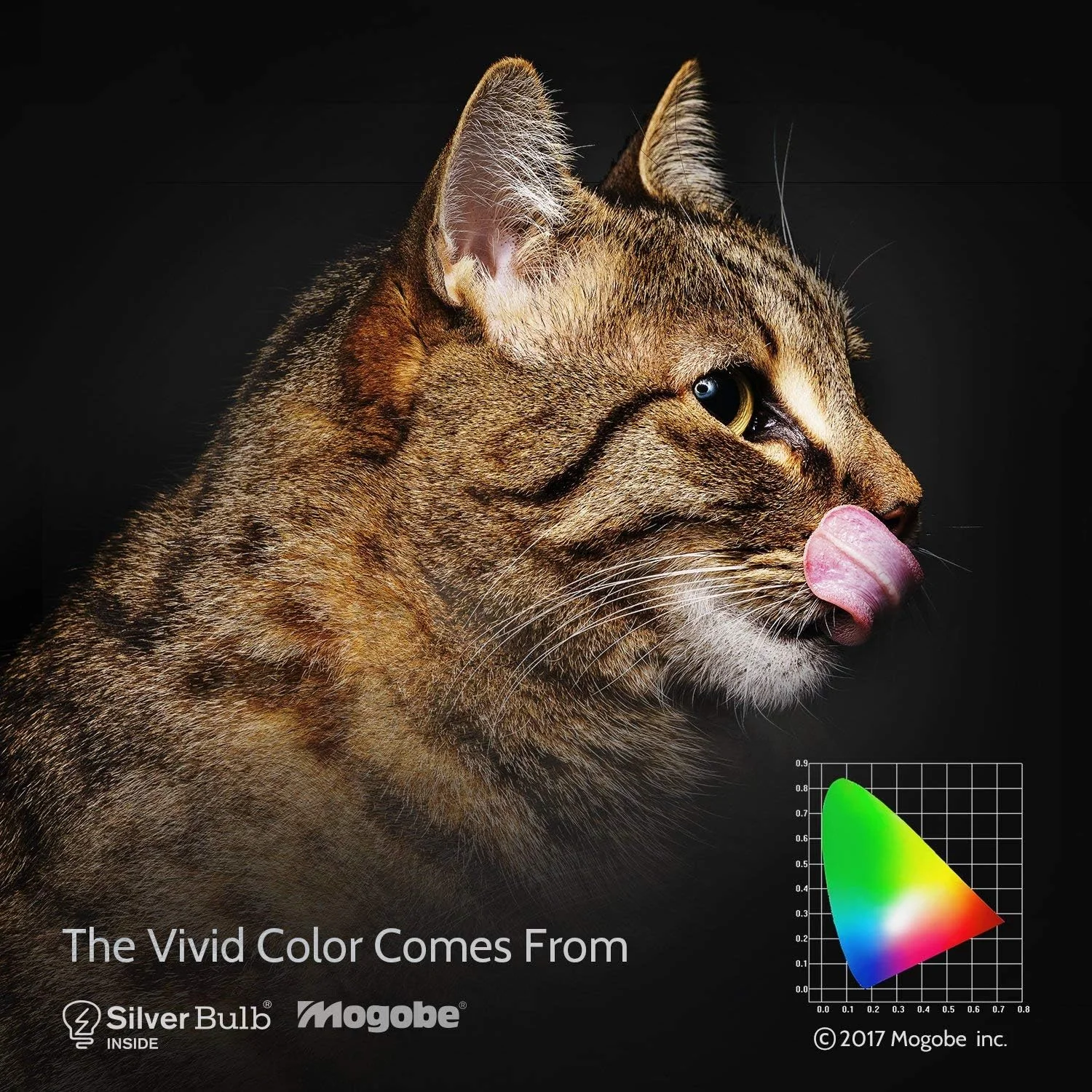 لامپ پروژکتور جایگزین Mogobe برای BL-FP210B/BL-FP210A/SP.70201GC01 به همراه محفظه برای HD28SE DH1021