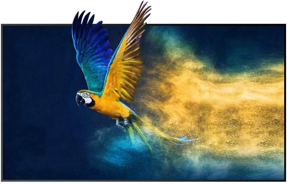 پرده نمایش پروژکتور، پرده نمایش پروژکتور، 100 اینچ 120 اینچ 16:9 قابل حمل، سفید، تاشو جلو عقب سینمای خانگی فضای باز (120 اینچ)