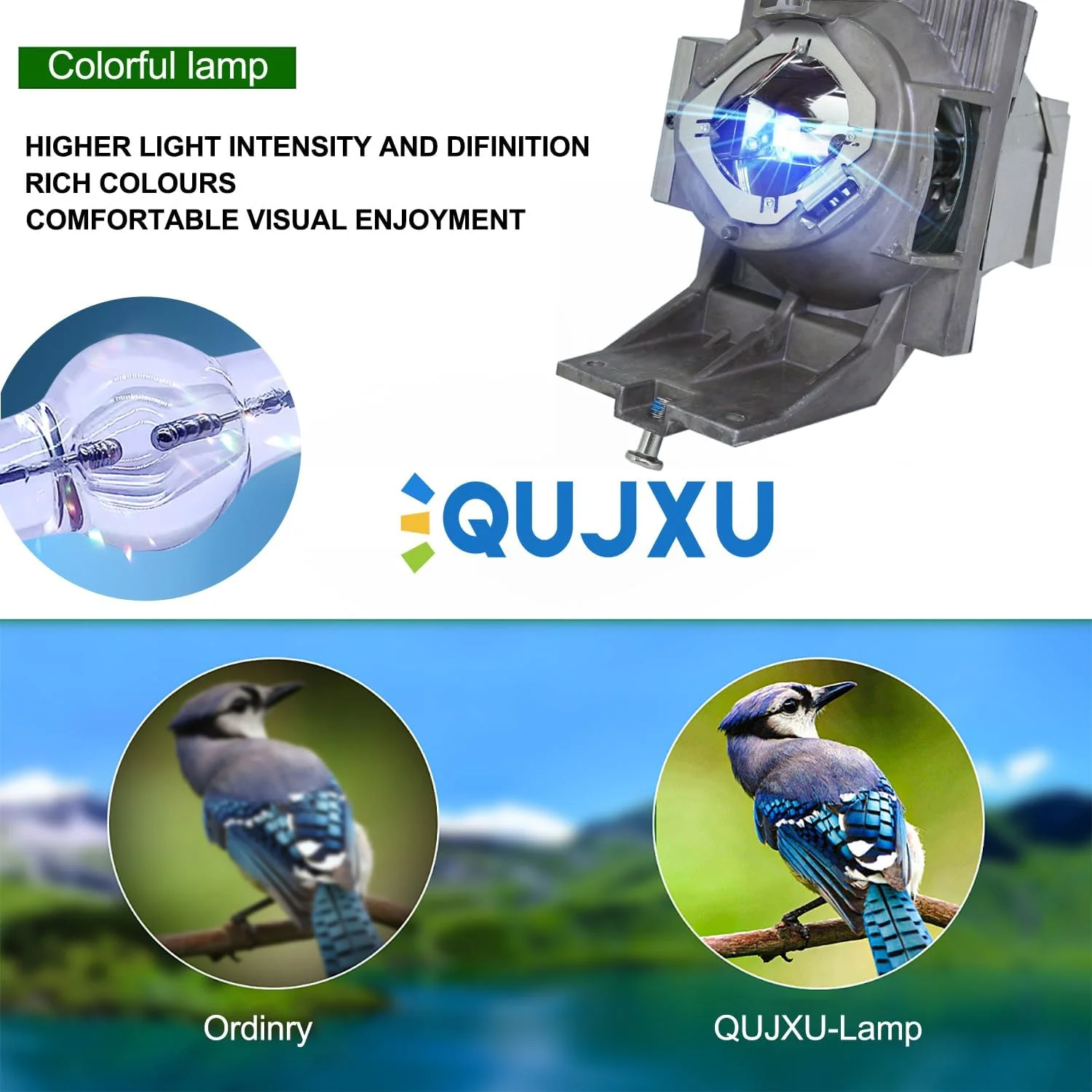 لامپ پروژکتور جایگزین با کیفیت بالا RLC-117 5J.JHN05.001 برای ویوسونیک PG705HD PG705WU PX727-4K PX747-4K و بنکیو MU613,TH585,TH685,TH685i همراه با محفظه