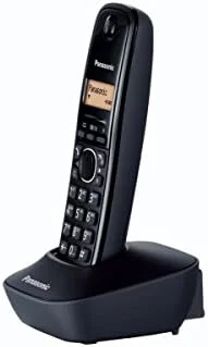 تلفن بی سیم پاناسونیک KX-TG1611FX ولتاژ 220 مخصوص صادرات