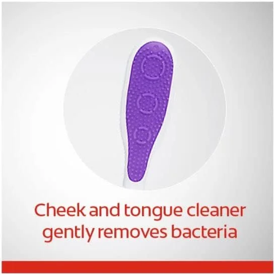 مسواک دستی کلگیت 360، پاک کننده کامل دهان، نرم (بسته 3 عددی) مسواک دستی کلگیت 360، پاک کننده کامل دهان، نرم (بسته 3 عددی)