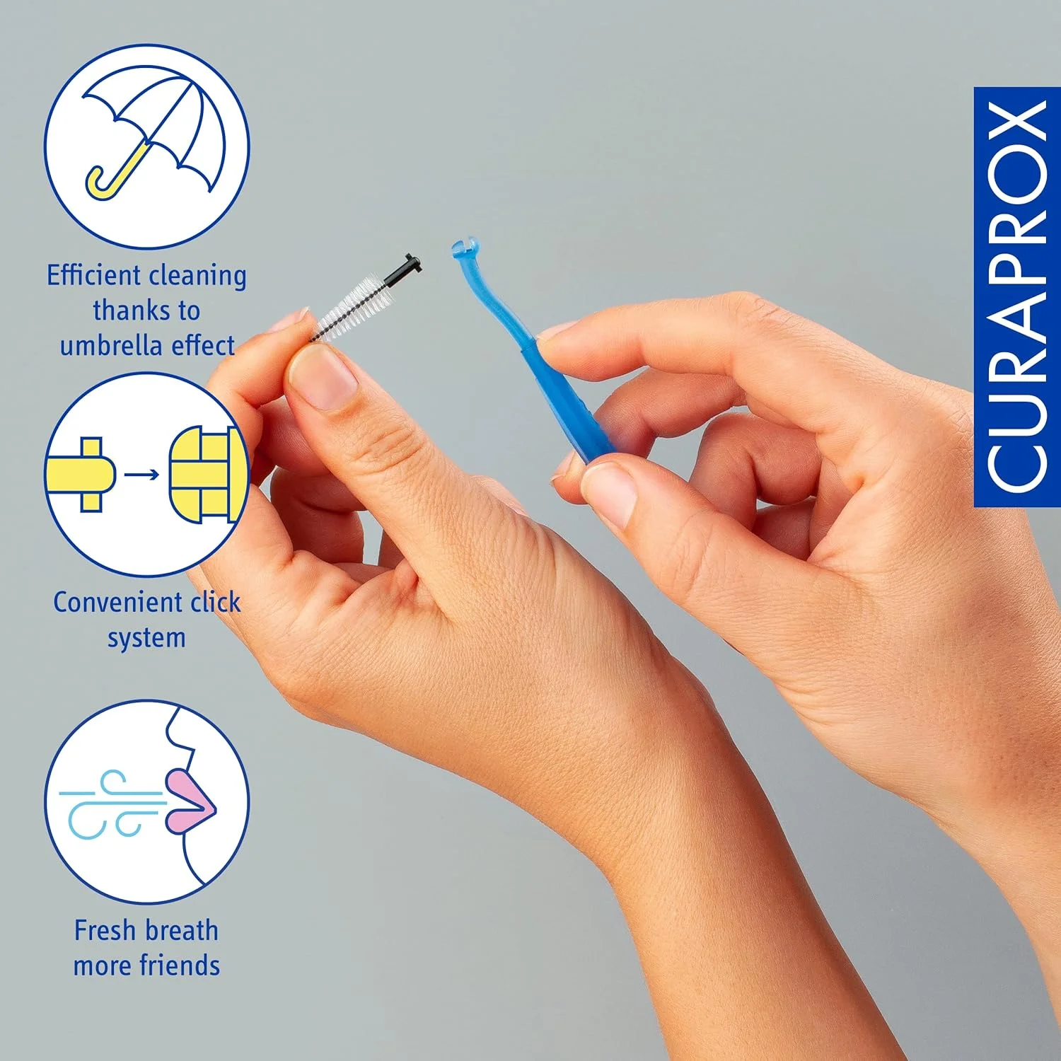 برس بین دندانی Curaprox CPS 508 ایمپلنت، بسته یدک، بسته 5 عددی، کارایی 8.5 میلی متر، مشکی، مخروطی، بسته یدک بدون دسته برس بین دندانی Curaprox CPS 508 ایمپلنت، بسته یدک، بسته 5 عددی، کارایی 8.5 میلی متر، مشکی، مخروطی، بسته یدک بدون دسته