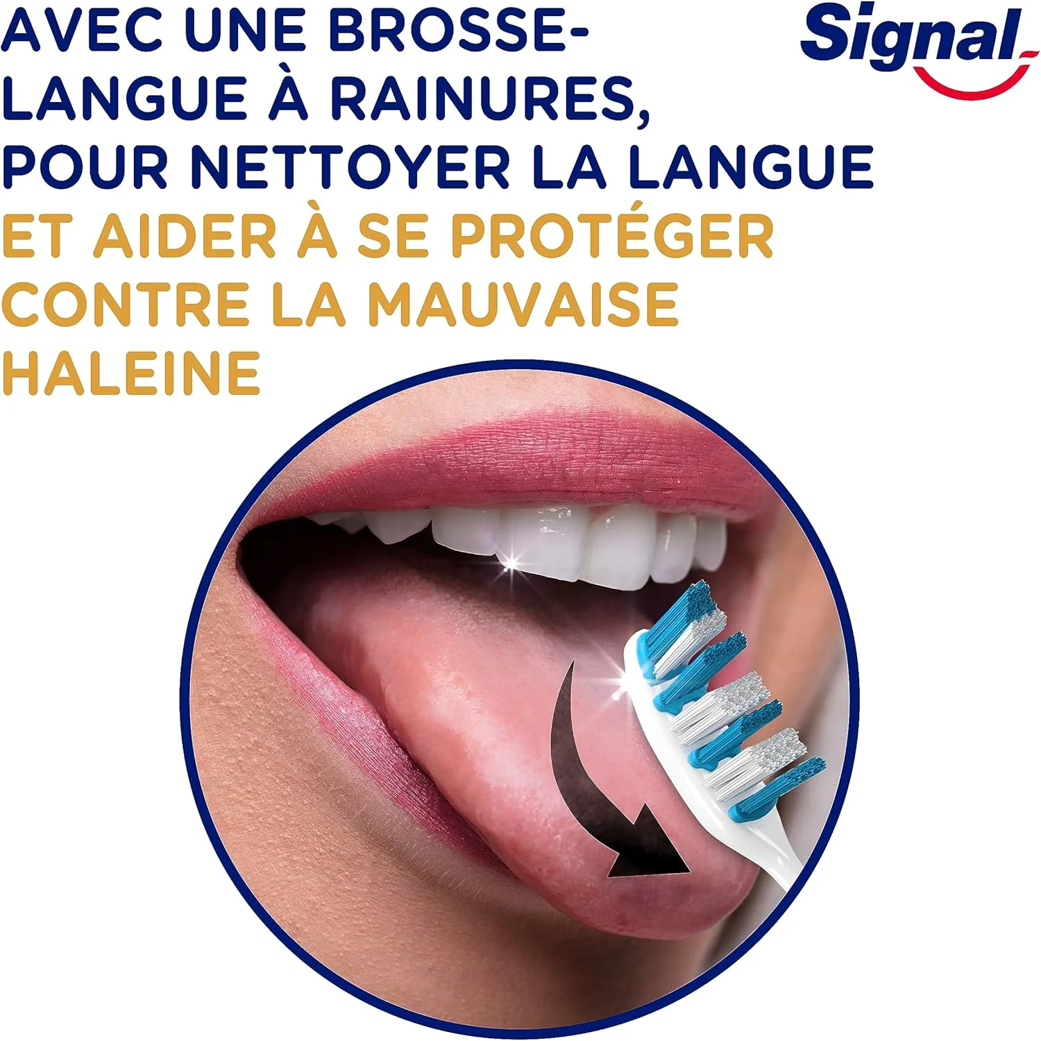 مسواک سیگنال با برس متوسط مدل اینتگرال پروتکشن بسته 4 عددی، با باتری