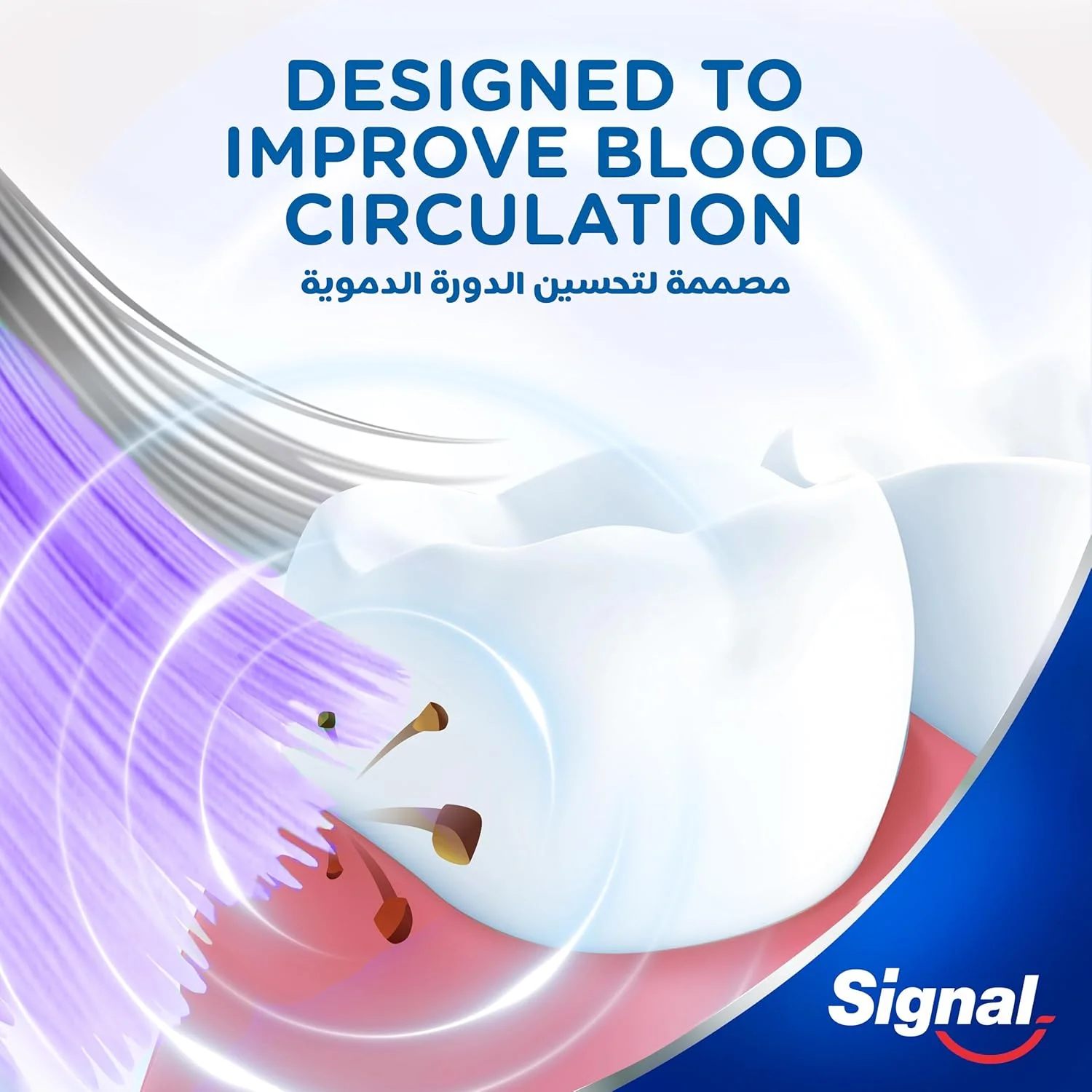 مسواک فوق العاده نرم سیگنال 4D، مناسب دندان های حساس، از بین برنده 99% باکتری ها، 20 برابر نازک تر برای محافظت از لثه، دارای دسته ضد لغزش و راحت، 2 عدد در بسته