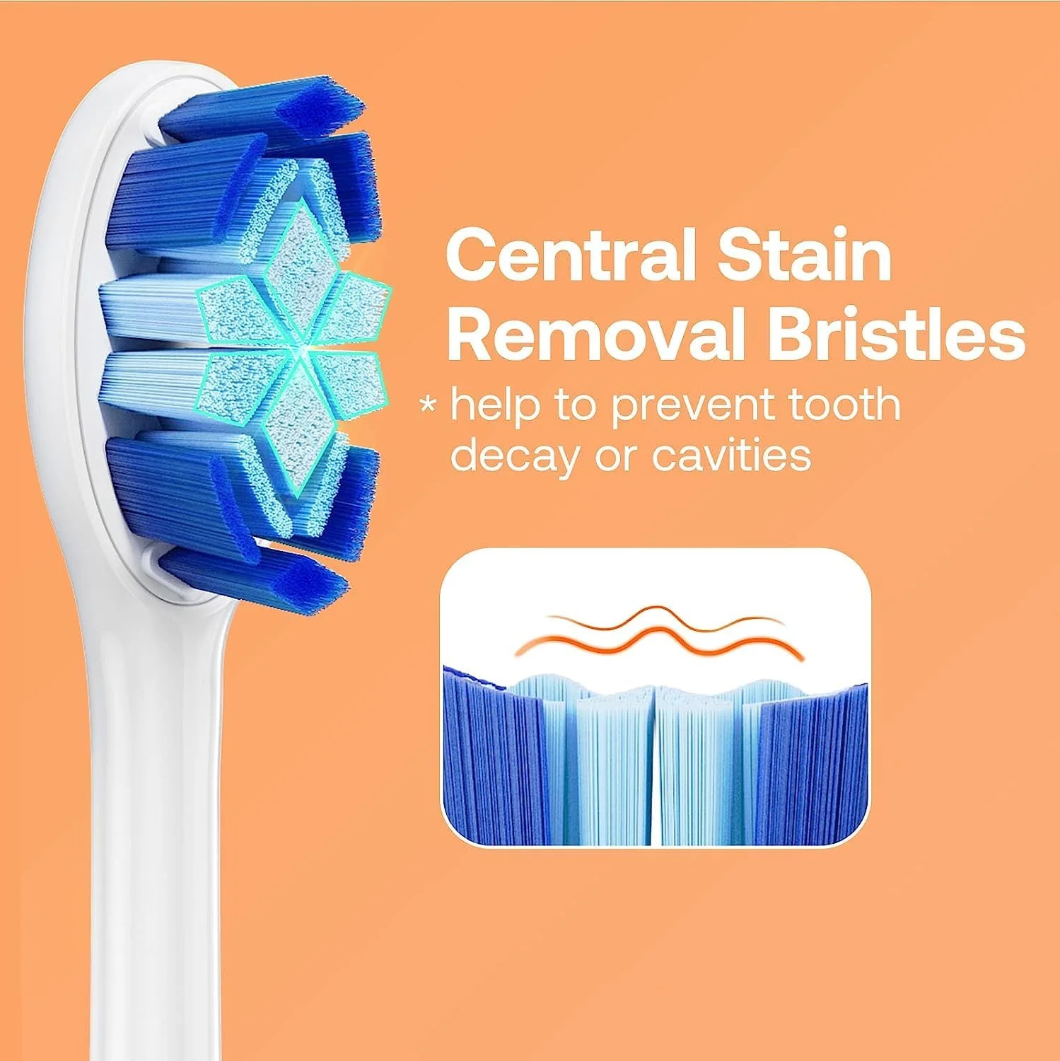 مسواک برقی سونیک Bitvae S3 – سفید، با 4 سری مسواک، 4 درپوش، کیف مسافرتی و پایه نگهدارنده، 5 حالت تمیز کردن، تایمر هوشمند، قابل شارژ USB، عمر باتری طولانی مسواک برقی سونیک Bitvae S3 – سفید، با 4 سری مسواک، 4 درپوش، کیف مسافرتی و پایه نگهدارنده، 5 حالت تمیز کردن، تایمر هوشمند، قابل شارژ USB، عمر باتری طولانی