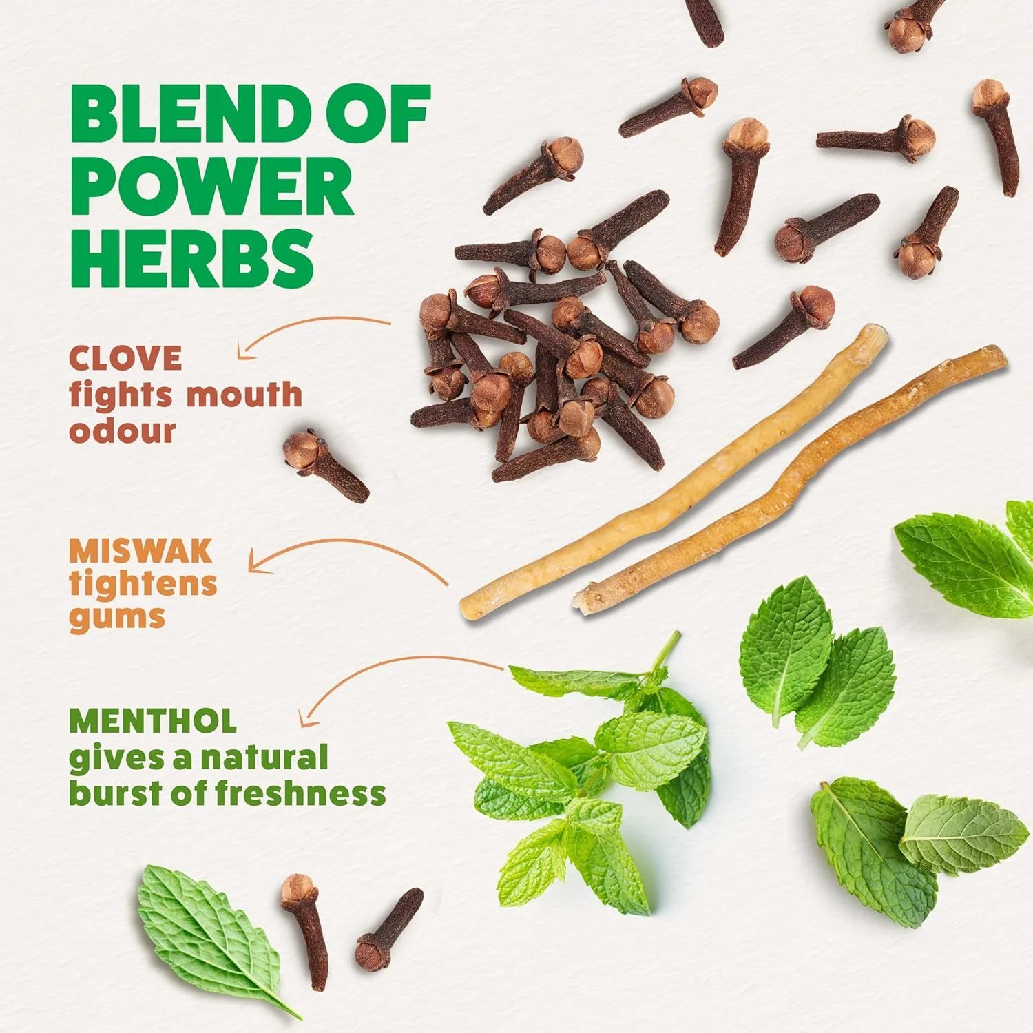 خمیر دندان گیاهی اکتیو وایت هیمالیا از سال 1930، به آرامی لکه ها را از بین می برد و دندان هایی سفیدتر و درخشان تر به ارمغان می آورد - 2 عدد 100 میلی لیتری