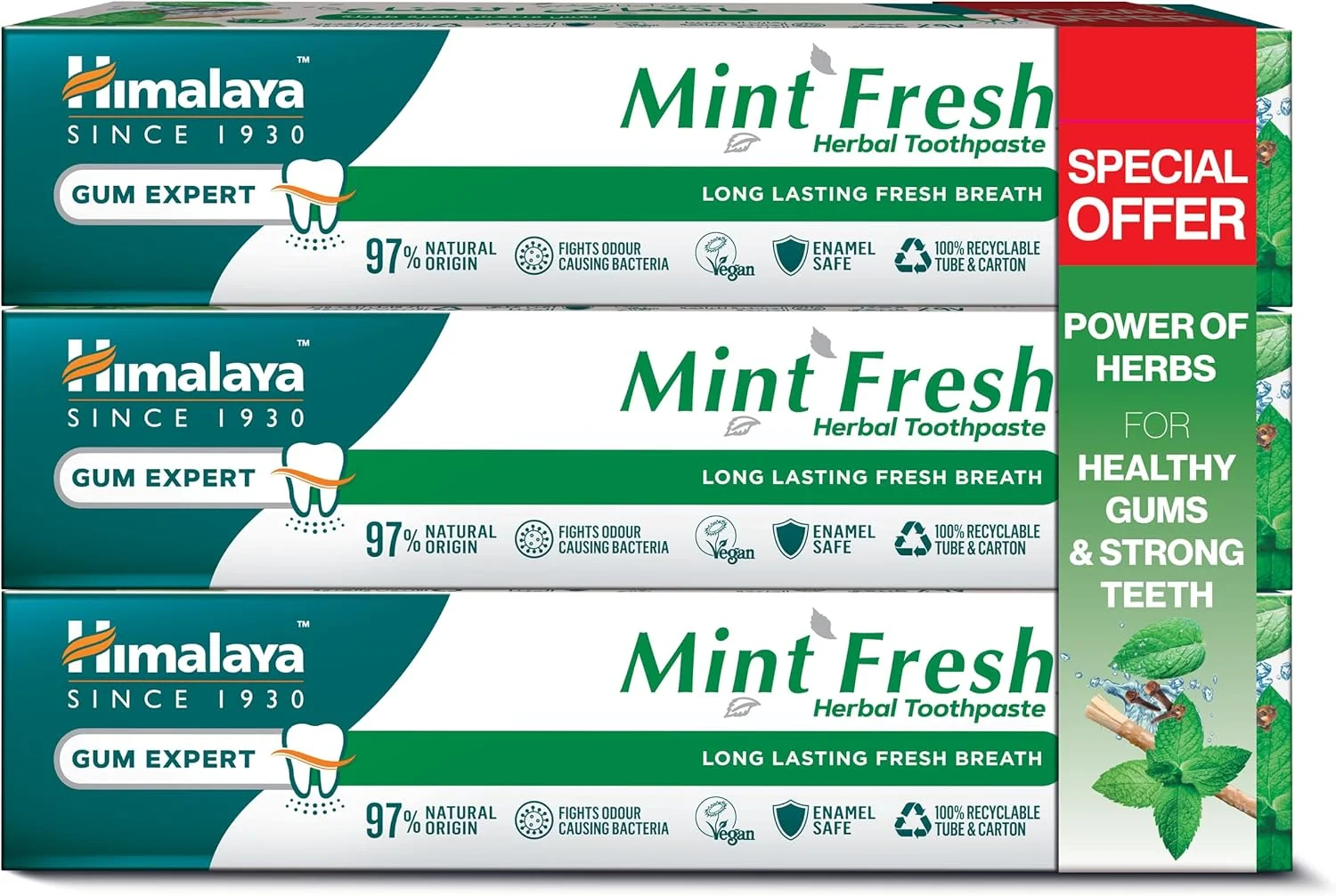 خمیر دندان گیاهی نعنایی هیمالیا از سال 1930، جلوگیری از بوی بد دهان و تضمین تنفس تازه و ماندگار - 3 عدد 100 میلی لیتری