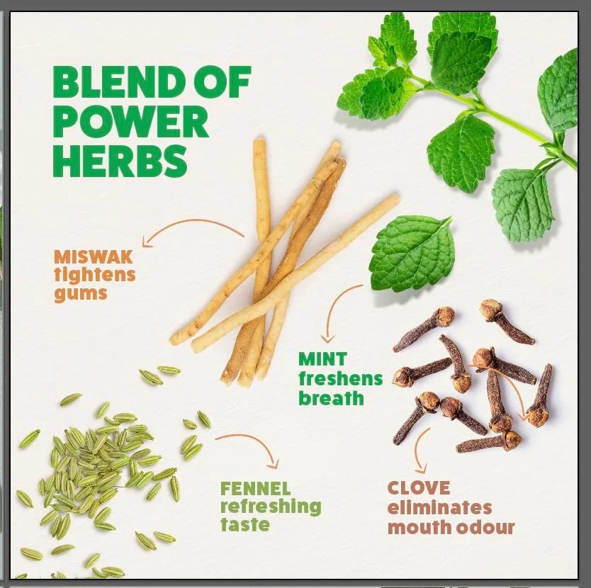 خمیر دندان گیاهی نعنایی هیمالیا از سال 1930، جلوگیری از بوی بد دهان و تضمین تنفس تازه و ماندگار - 3 عدد 100 میلی لیتری خمیر دندان گیاهی نعنایی هیمالیا از سال 1930، جلوگیری از بوی بد دهان و تضمین تنفس تازه و ماندگار - 3 عدد 100 میلی لیتری