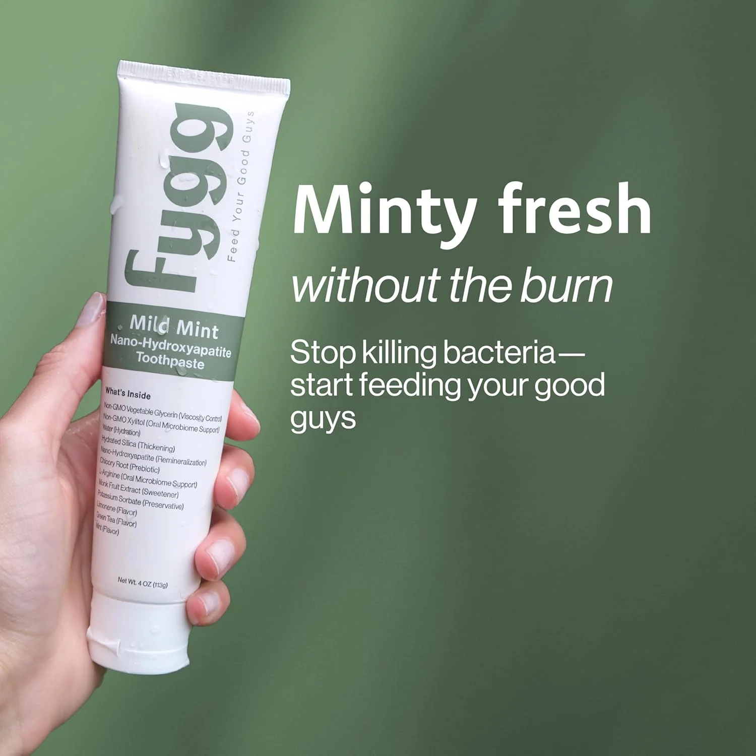 خمیر دندان بدون فلوراید Fygg، نانو هیدروکسی آپاتیت (نعناع ملایم) | توصیه شده توسط دندانپزشکان - برای معدنی سازی مجدد، سفید کردن و دندان های حساس - خمیر دندان ممتاز برای مراقبت از دهان بزرگسالان و کودکان (113 گرم) خمیر دندان بدون فلوراید Fygg، نانو هیدروکسی آپاتیت (نعناع ملایم) | توصیه شده توسط دندانپزشکان - برای معدنی سازی مجدد، سفید کردن و دندان های حساس - خمیر دندان ممتاز برای مراقبت از دهان بزرگسالان و کودکان (113 گرم)