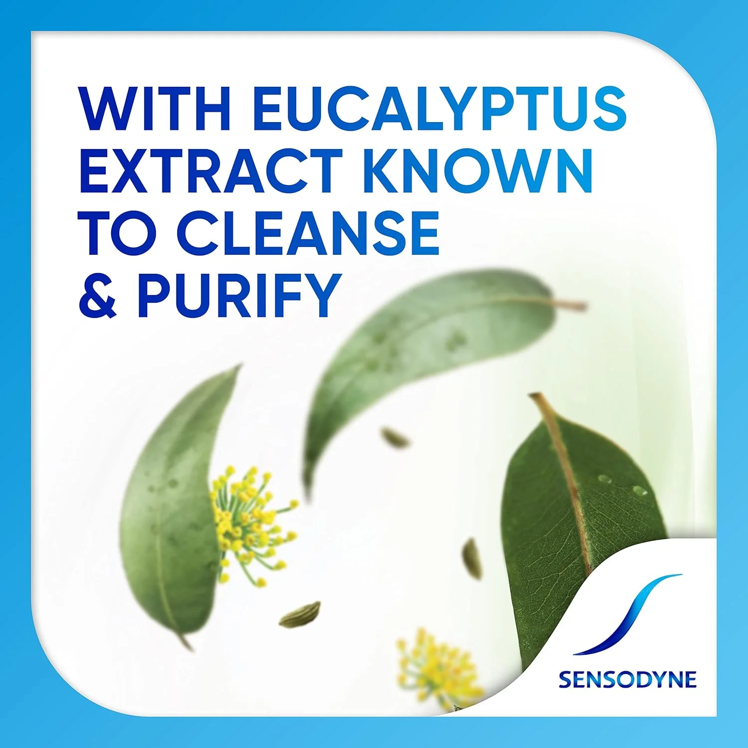 خمیر دندان گیاهی سنسوداین برای دندان های حساس، مراقبت چندگانه گیاهی با عصاره های اکالیپتوس و رازیانه، ۱۰۰ گرم