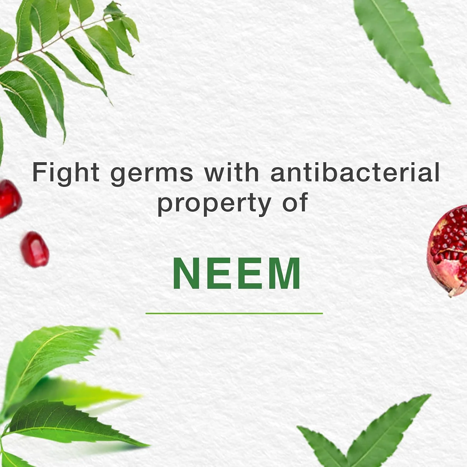 خمیر دندان گیاهی مراقبت کامل هیمالیا، محافظت از لثه و حفظ سلامت آن - 50 میلی لیتر