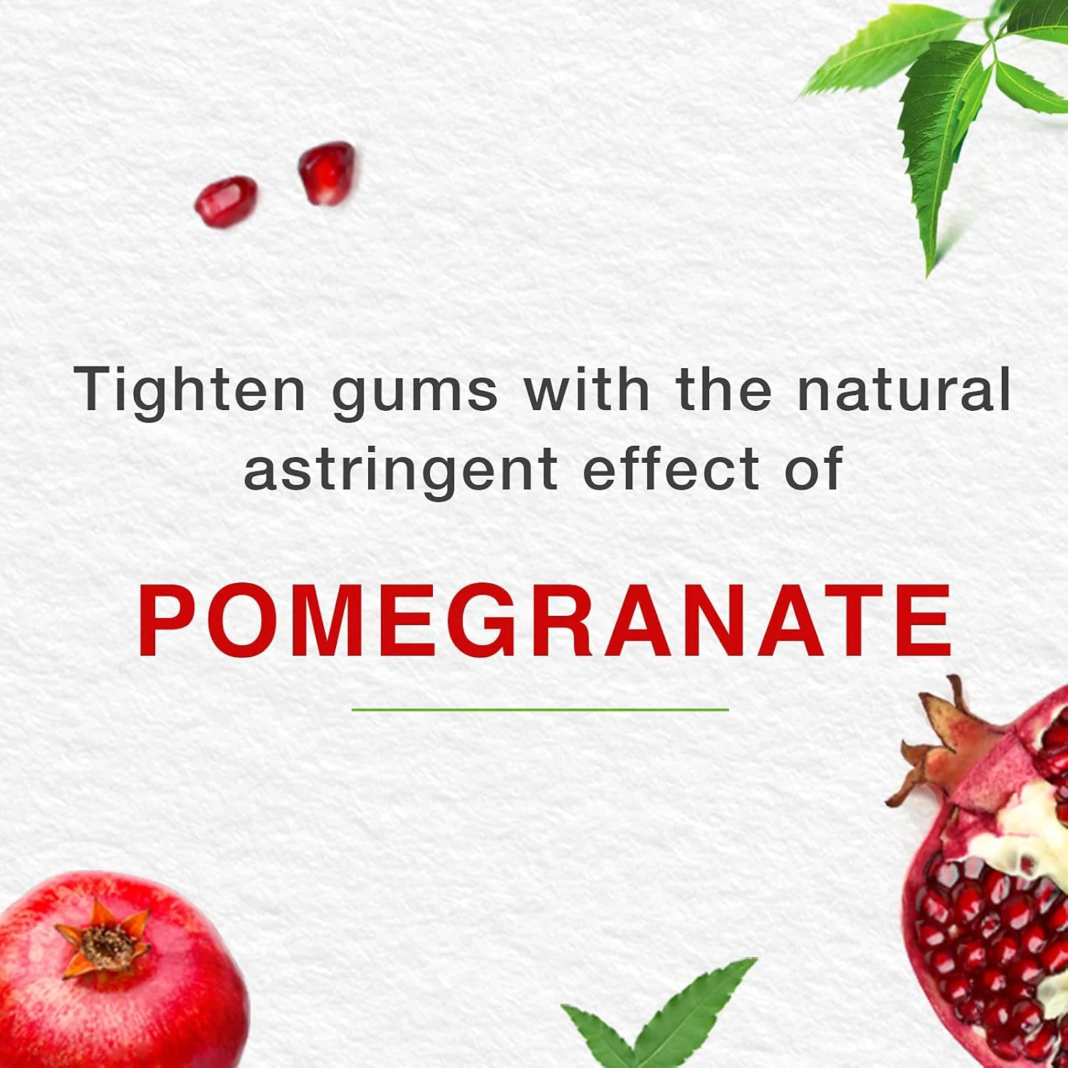 خمیر دندان گیاهی مراقبت کامل هیمالیا، محافظت از لثه و حفظ سلامت آن - 50 میلی لیتر