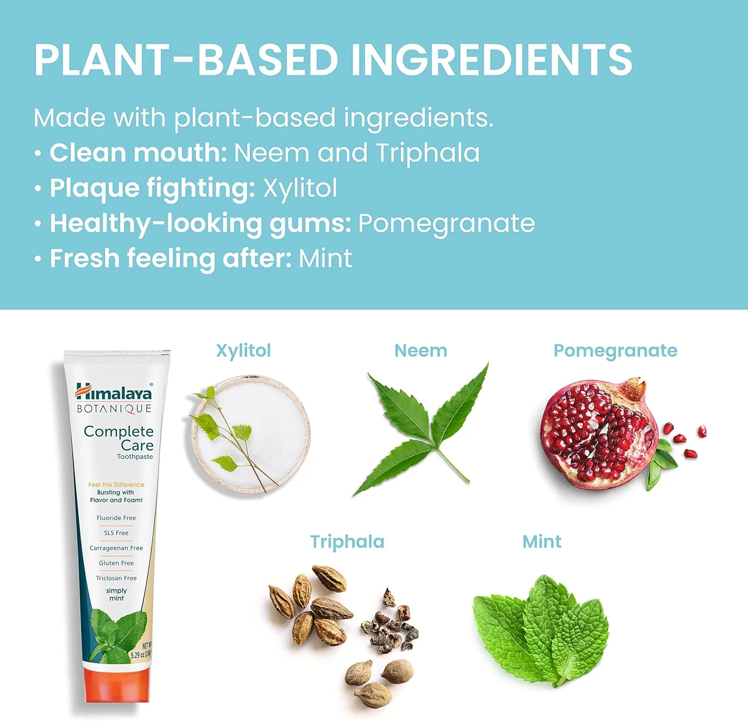 خمیر دندان مراقبت کامل هیمالیا - نعناع ساده ۱۵۰ گرمی (یک بسته) طبیعی، بدون فلوراید و بدون SLS