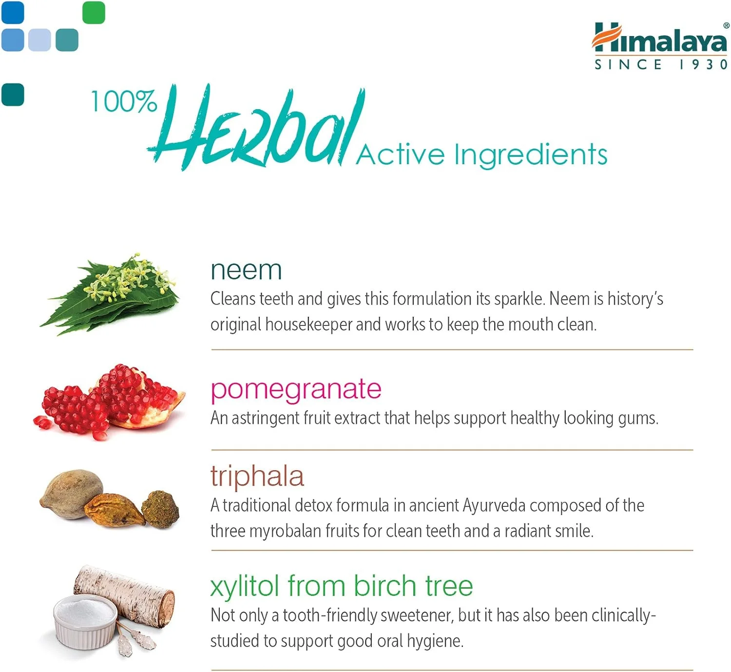 خمیر دندان نعناع هیمالیا بوتانیک | از بین برنده پلاک و بوی بد دهان، جلوگیری از خونریزی لثه - 150 گرم (بسته 2 عددی)