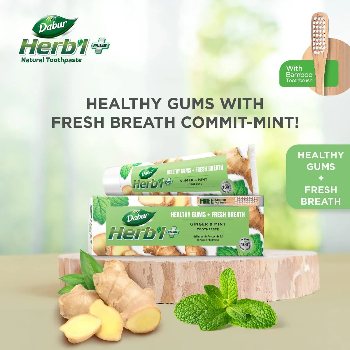 خمیر دندان گیاهی دابور Herb'l Plus وزن 150 گرم به همراه مسواک بامبو رایگان | با زنجبیل و نعناع | برای لثه های سالم و تنفس تازه