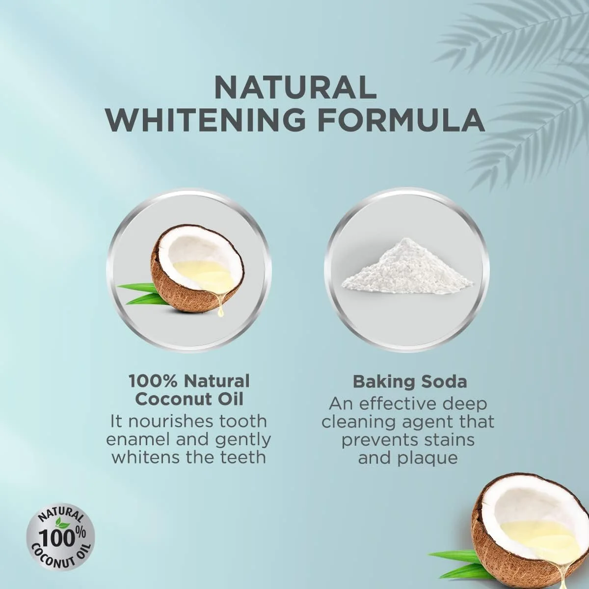 خمیر دندان گیاهی دابور پلاس روغن نارگیل و جوش شیرین (2 عدد 150 گرمی + مسواک بامبو) | سفید کننده و پاک کننده عمیق | فاقد فلوراید، SLS، تریکلوزان و پارابن | بسته اقتصادی