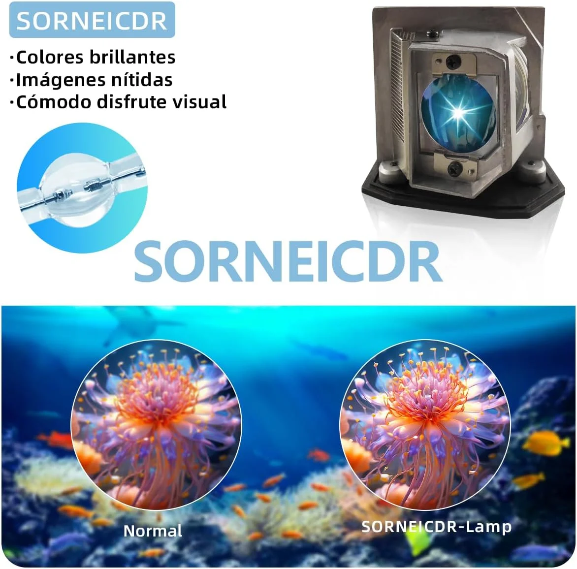 لامپ پروژکتور SORNEICDR BL-FP230D برای پروژکتورهای OPTOMA مدل های DH1010 EH1020 EW615 EX612 EX615 HD180 HD20 HD200X HD200X-LV HD20-LV لامپ پروژکتور SORNEICDR BL-FP230D برای پروژکتورهای OPTOMA مدل های DH1010 EH1020 EW615 EX612 EX615 HD180 HD20 HD200X HD200X-LV HD20-LV