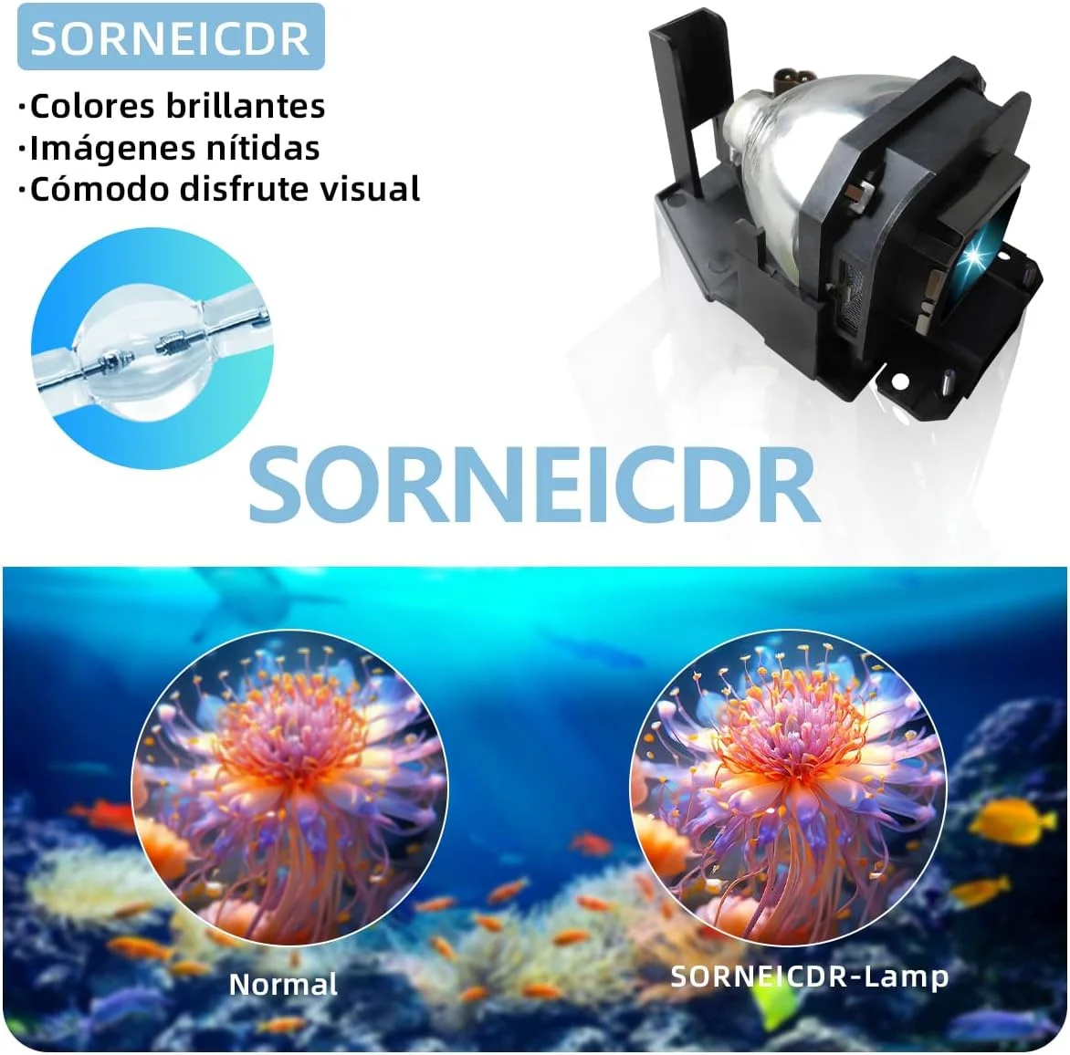 لامپ پروژکتور SORNEICDR ET-LAX100 برای پروژکتورهای PANASONIC مدل های PT-AX200E, PT-AX100E, PT-AX200U, PT-AX100U به همراه محفظه لامپ پروژکتور SORNEICDR ET-LAX100 برای پروژکتورهای PANASONIC مدل های PT-AX200E, PT-AX100E, PT-AX200U, PT-AX100U به همراه محفظه