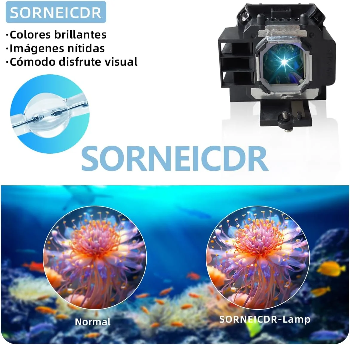 لامپ پروژکتور SORNEICDR NP14LP مناسب برای پروژکتورهای NEC مدلهای NP305 NP310 NP405 NP410 NP510 NP305G NP310 + NP310G NP405G NP410 + NP410G NP510 + NP510G NP530C NP430C NP630C لامپ پروژکتور SORNEICDR NP14LP مناسب برای پروژکتورهای NEC مدلهای NP305 NP310 NP405 NP410 NP510 NP305G NP310 + NP310G NP405G NP410 + NP410G NP510 + NP510G NP530C NP430C NP630C