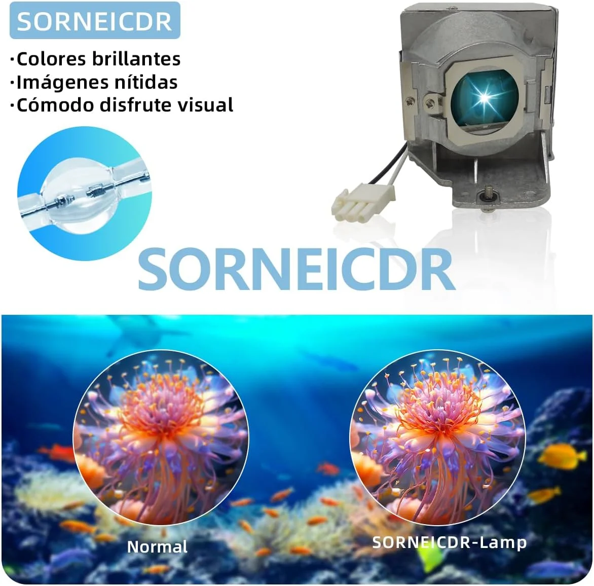 لامپ پروژکتور MC.JFZ11.001 برای پروژکتورهای ایسر مدل های W1400, W1500, H6510BD, P1500 به همراه محفظه لامپ پروژکتور MC.JFZ11.001 برای پروژکتورهای ایسر مدل های W1400, W1500, H6510BD, P1500 به همراه محفظه