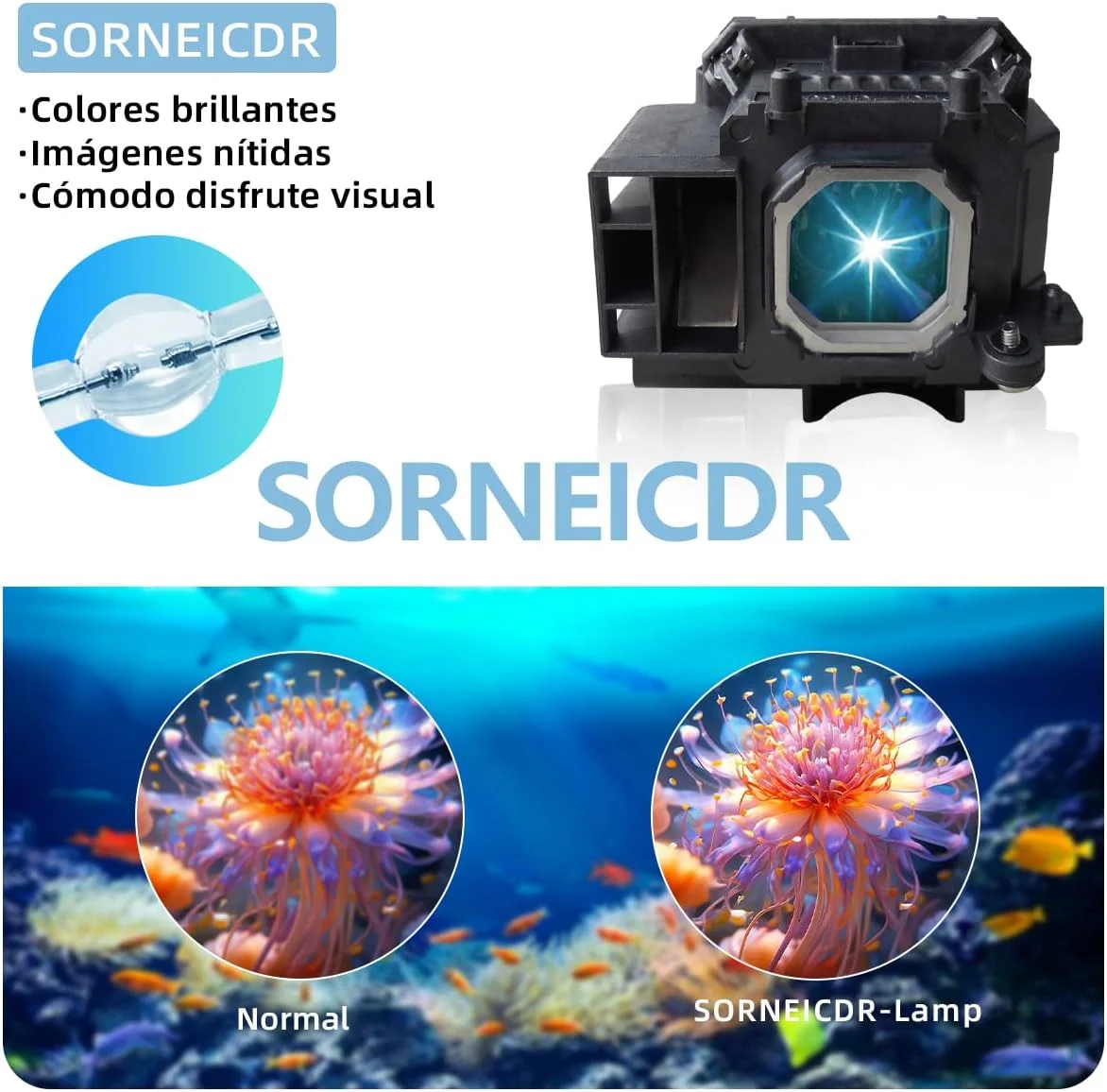 لامپ پروژکتور NP17LP برای پروژکتورهای NEC مدل های M300WS, M350XS, M420X, P350W, P420X به همراه محفظه لامپ پروژکتور NP17LP برای پروژکتورهای NEC مدل های M300WS, M350XS, M420X, P350W, P420X به همراه محفظه