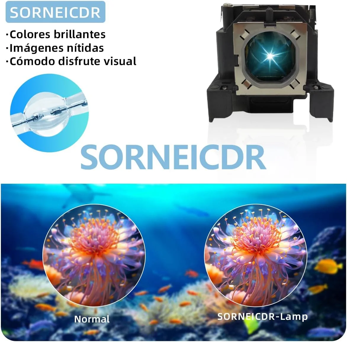 لامپ پروژکتور پرومتین PRM30-LAMP PRM30A PRM30 به همراه محفظه