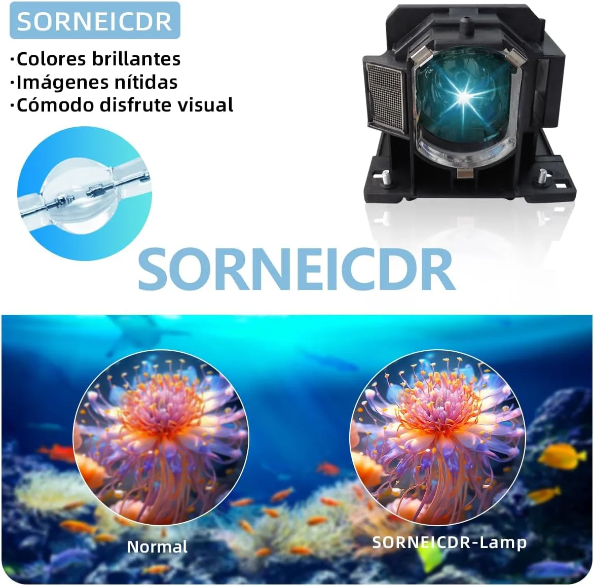 لامپ پروژکتور DT01091 مناسب برای پروژکتورهای هیتاچی CP-DW10N CP-AW100N CP-D10 ED-AW100N ED-AW110N ED-D10N ED-D11N به همراه محفظه لامپ پروژکتور DT01091 مناسب برای پروژکتورهای هیتاچی CP-DW10N CP-AW100N CP-D10 ED-AW100N ED-AW110N ED-D10N ED-D11N به همراه محفظه