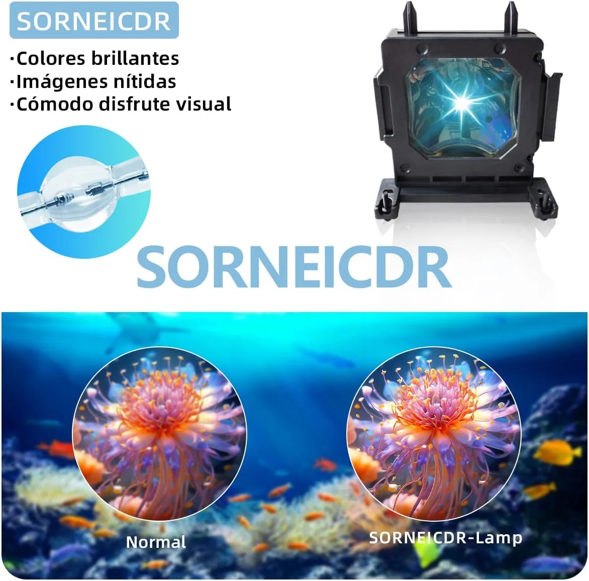 لامپ پروژکتور سورنیکدر مدل LMP-H202/LMP-H201 مناسب برای پروژکتورهای سونی VPL-HW30ES VPL-HW4OES VPL-HW5OES VPL-HW55ES VPL-VW95ES VPL-GH10 VPL-HW10 VPL-HW15 VPL-HW20 VPL-VW80 VPL-VW85 VPL-VW9OES لامپ پروژکتور سورنیکدر مدل LMP-H202/LMP-H201 مناسب برای پروژکتورهای سونی VPL-HW30ES VPL-HW4OES VPL-HW5OES VPL-HW55ES VPL-VW95ES VPL-GH10 VPL-HW10 VPL-HW15 VPL-HW20 VPL-VW80 VPL-VW85 VPL-VW9OES