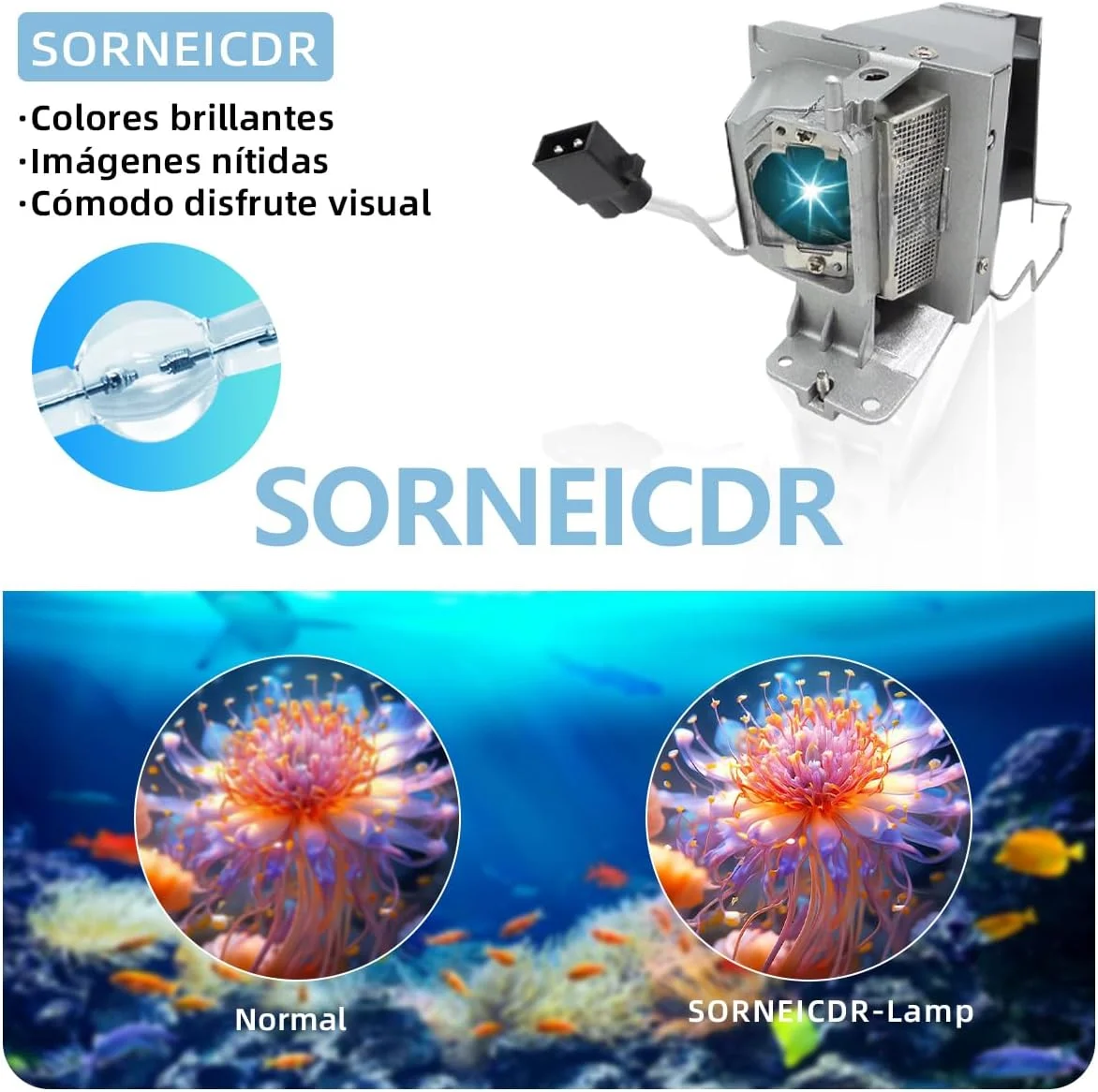 لامپ پروژکتور SORNEICDR SP.71P01GC01/BL-FU195B برای پروژکتورهای OPTOMA مدل های DH1010i, DH1020, DS347, DS348, DS421, DS431, DW315, DW348, DX348, EH330, EH331, H114, H183X, S321. S331, W330, W331 لامپ پروژکتور SORNEICDR SP.71P01GC01/BL-FU195B برای پروژکتورهای OPTOMA مدل های DH1010i, DH1020, DS347, DS348, DS421, DS431, DW315, DW348, DX348, EH330, EH331, H114, H183X, S321. S331, W330, W331