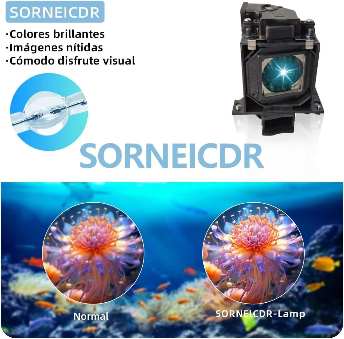 لامپ پروژکتور جایگزین SORNEICDR سازگار با پاناسونیک ET-LAC100 PT-CW230 PT-CX200 PT-CW230E PT-CX200E PT-CW230EA PT-CX200EA PT-CW230U PT-CX200U با محفظه