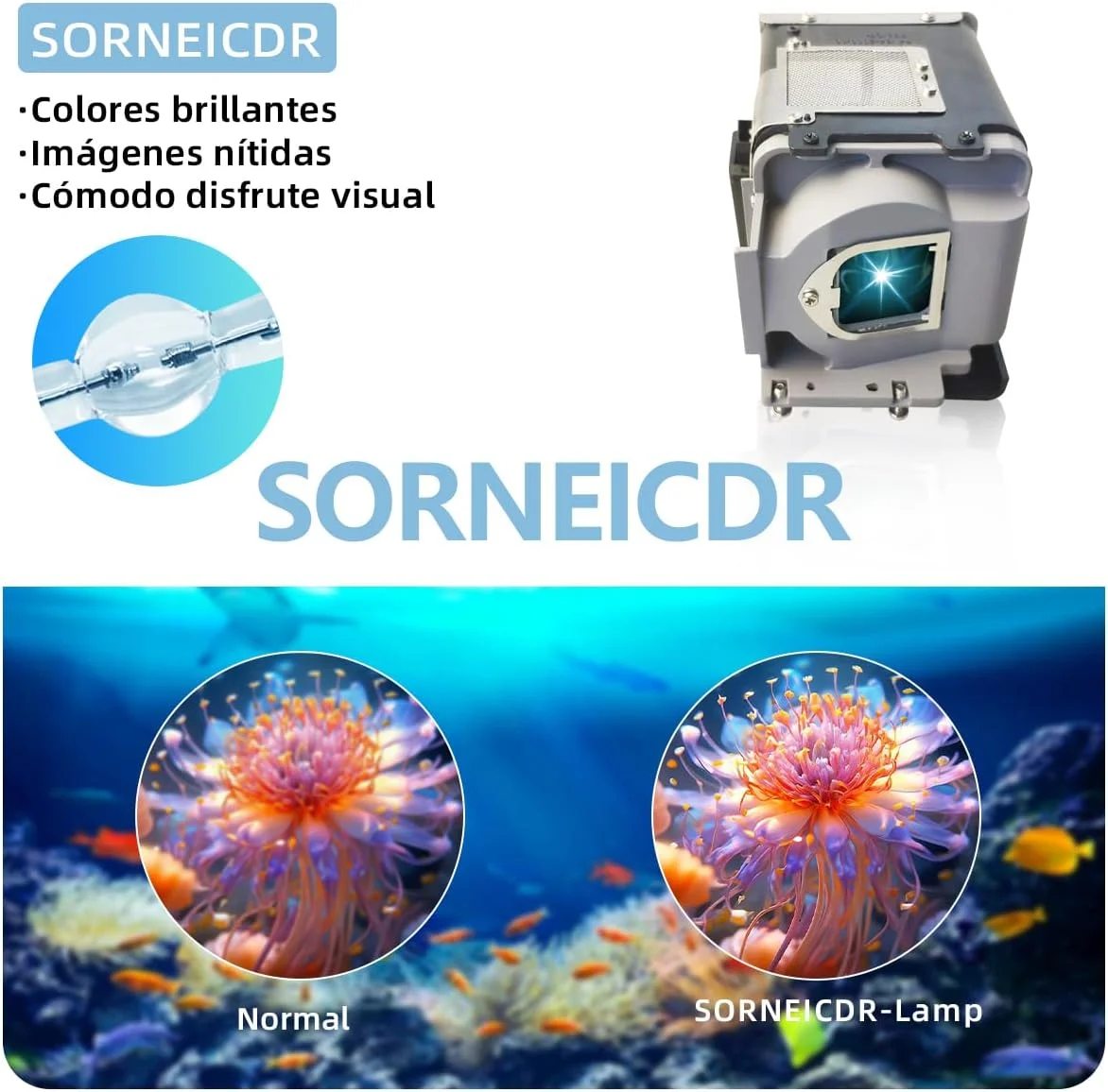 لامپ پروژکتور جایگزین SORNEICDR سازگار با میتسوبیشی VLT-XD560LP XD550U XD360U-EST WD385U-EST WD380U-EST WD570 به همراه محفظه لامپ پروژکتور جایگزین SORNEICDR سازگار با میتسوبیشی VLT-XD560LP XD550U XD360U-EST WD385U-EST WD380U-EST WD570 به همراه محفظه