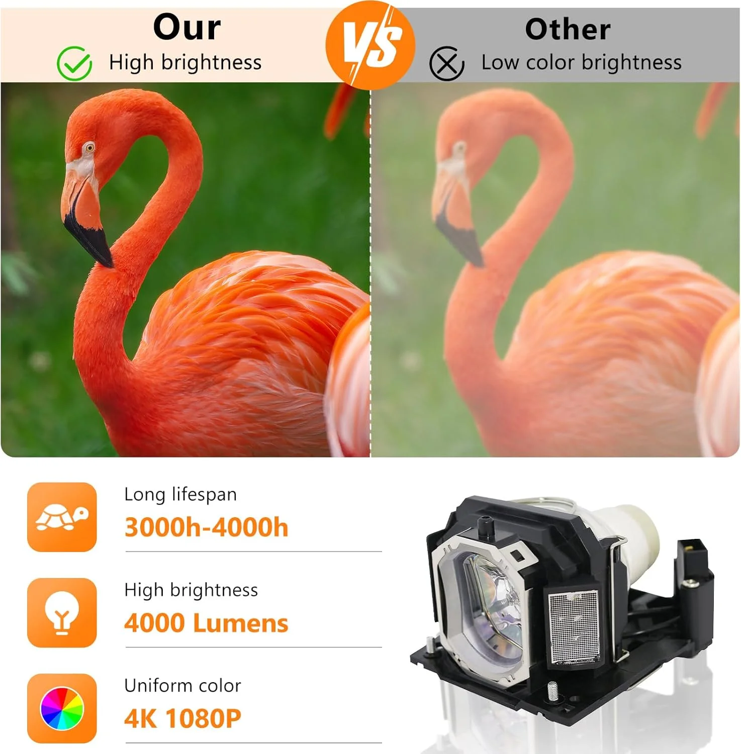 لامپ پروژکتور جایگزین Supermait 275 مدل DT01191 به همراه محفظه سازگار با پروژکتورهای HITACHI CP-WX12WN CP-X2021 CP-X2021WN CP-X2521 CP-X3021WN CPWX12WN CPX2021 CPX2021WN CPX2521 CPX3021WN لامپ پروژکتور جایگزین Supermait 275 مدل DT01191 به همراه محفظه سازگار با پروژکتورهای HITACHI CP-WX12WN CP-X2021 CP-X2021WN CP-X2521 CP-X3021WN CPWX12WN CPX2021 CPX2021WN CPX2521 CPX3021WN