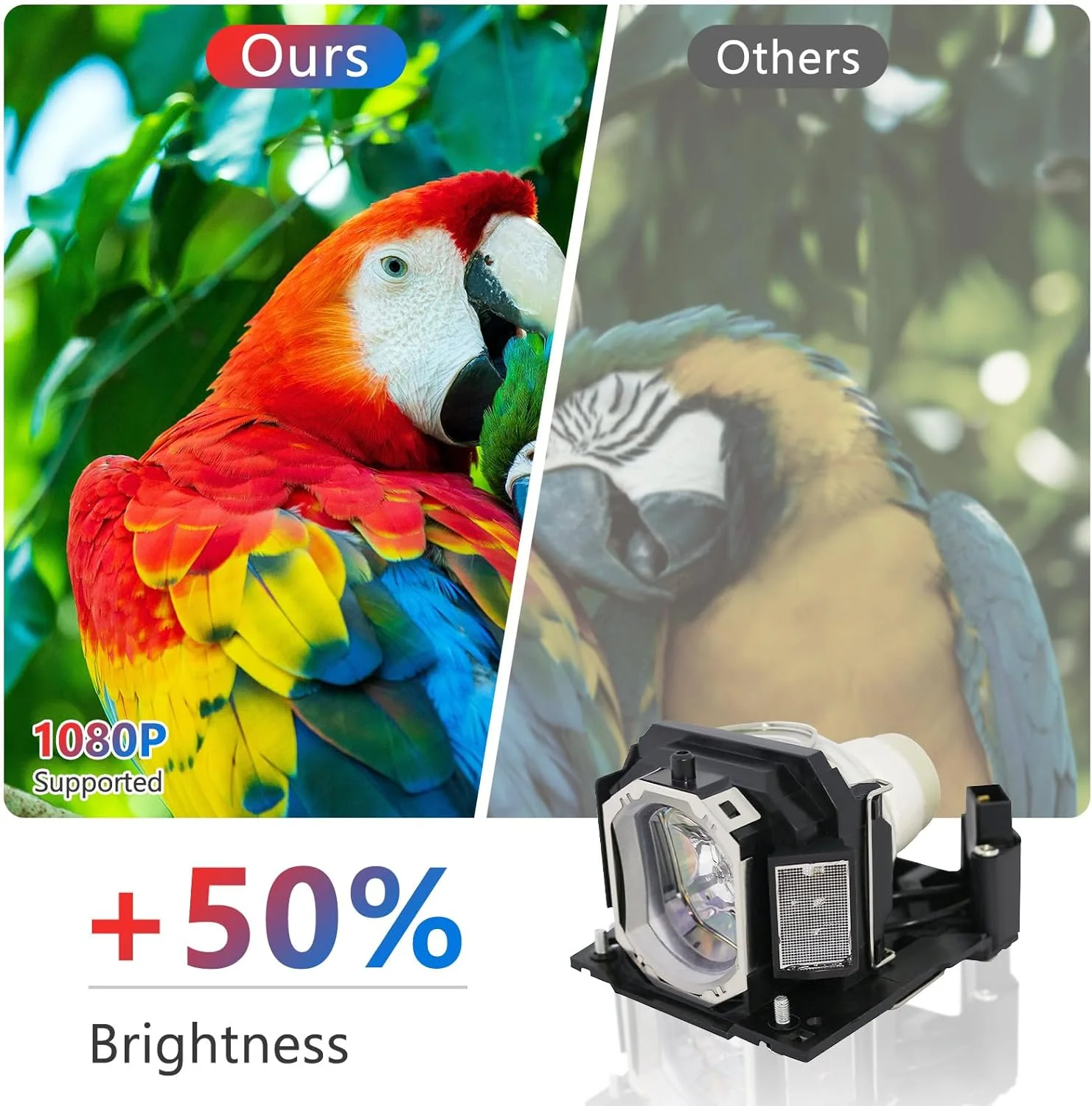 لامپ پروژکتور جایگزین Supermait 275 مدل DT01191 به همراه محفظه سازگار با پروژکتورهای HITACHI CP-WX12WN CP-X2021 CP-X2021WN CP-X2521 CP-X3021WN CPWX12WN CPX2021 CPX2021WN CPX2521 CPX3021WN لامپ پروژکتور جایگزین Supermait 275 مدل DT01191 به همراه محفظه سازگار با پروژکتورهای HITACHI CP-WX12WN CP-X2021 CP-X2021WN CP-X2521 CP-X3021WN CPWX12WN CPX2021 CPX2021WN CPX2521 CPX3021WN