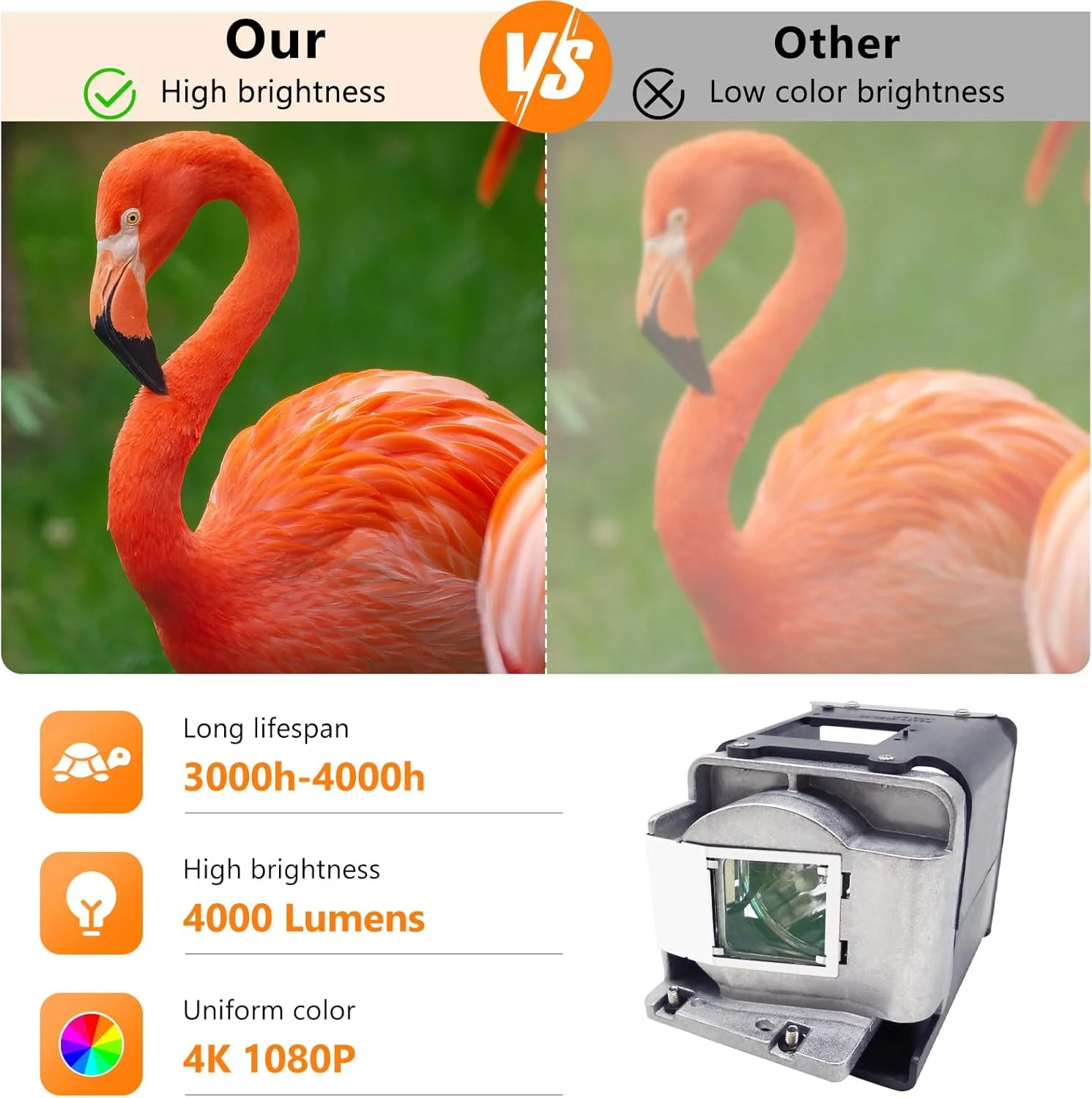 لامپ پروژکتور جایگزین Supermait BL-FU310A FX.PM584-2401 با محفظه سازگار با پروژکتورهای Optoma EH501 / W501 / HD151X / HD36 BLFU310A FXPM5842401 BL FU310A PM584-2401 PM584-2401 PM588