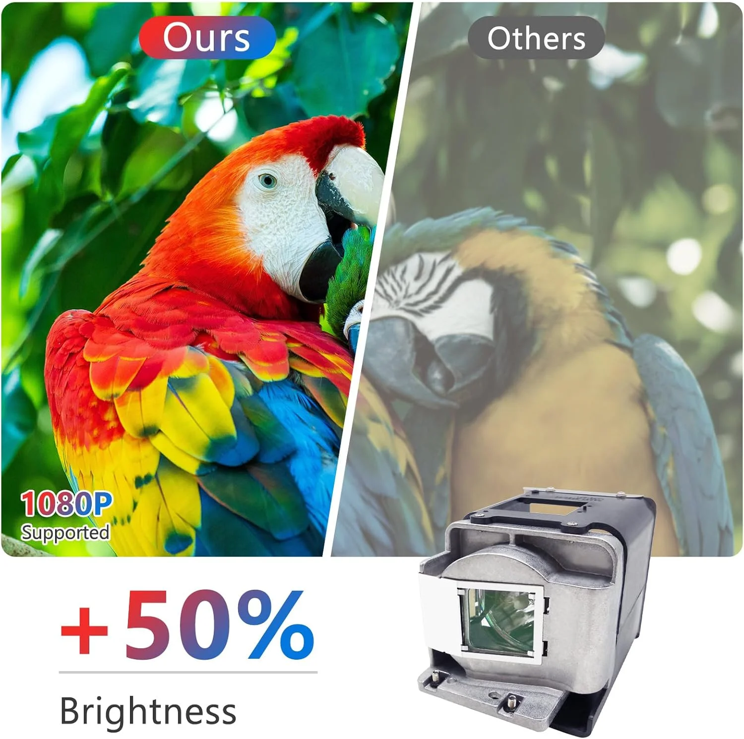 لامپ پروژکتور جایگزین Supermait BL-FU310A FX.PM584-2401 با محفظه سازگار با پروژکتورهای Optoma EH501 / W501 / HD151X / HD36 BLFU310A FXPM5842401 BL FU310A PM584-2401 PM584-2401 PM588