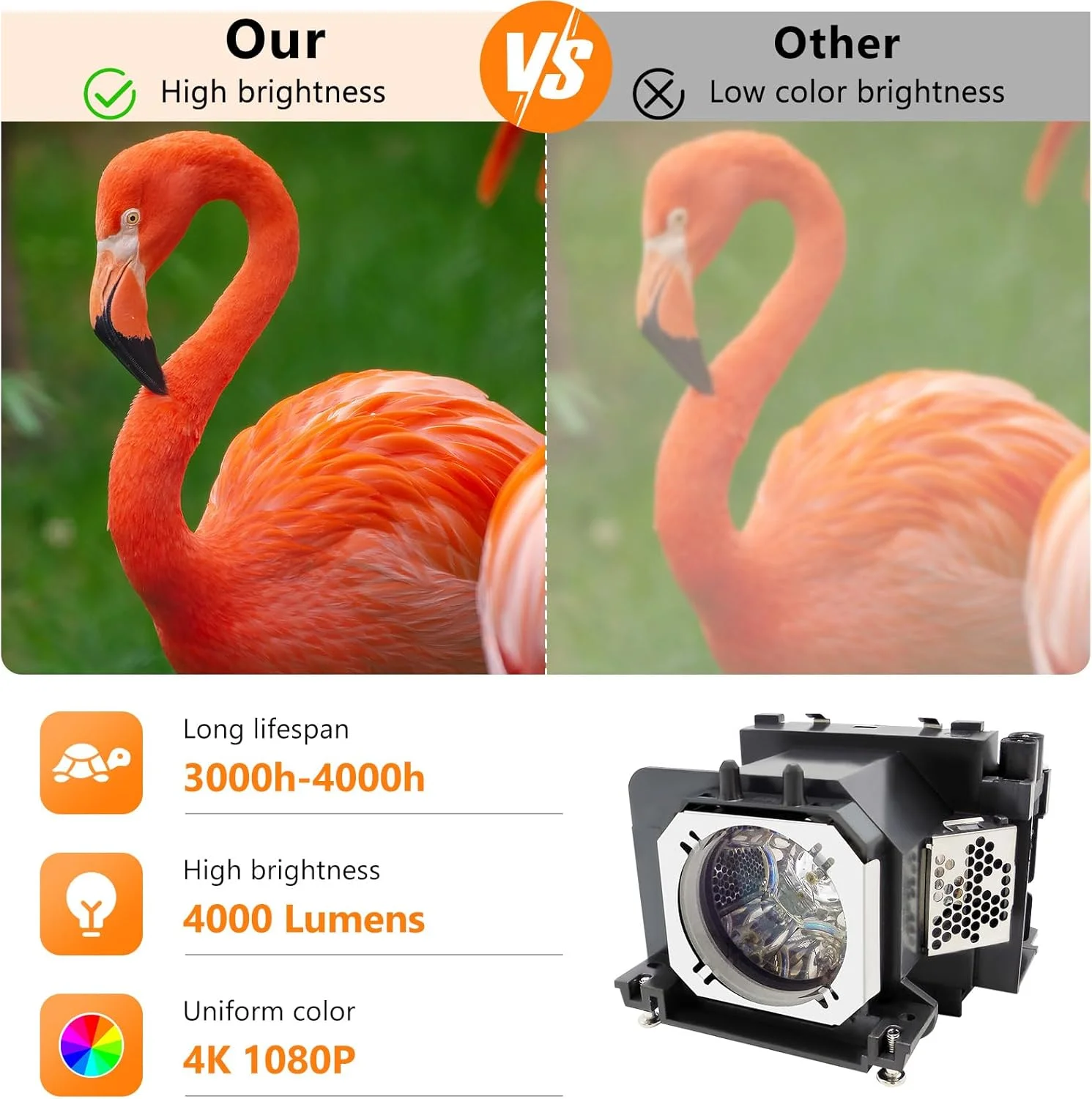 لامپ پروژکتور جایگزین با کیفیت A+ سوپرمیت ET-LAV400 ETLAV400 ET LAV400 به همراه محفظه سازگار با پروژکتورهای PANASONIC PT-VW530 / VW535N / VX600 / VX605N / VZ570 / VZ575N لامپ پروژکتور جایگزین با کیفیت A+ سوپرمیت ET-LAV400 ETLAV400 ET LAV400 به همراه محفظه سازگار با پروژکتورهای PANASONIC PT-VW530 / VW535N / VX600 / VX605N / VZ570 / VZ575N