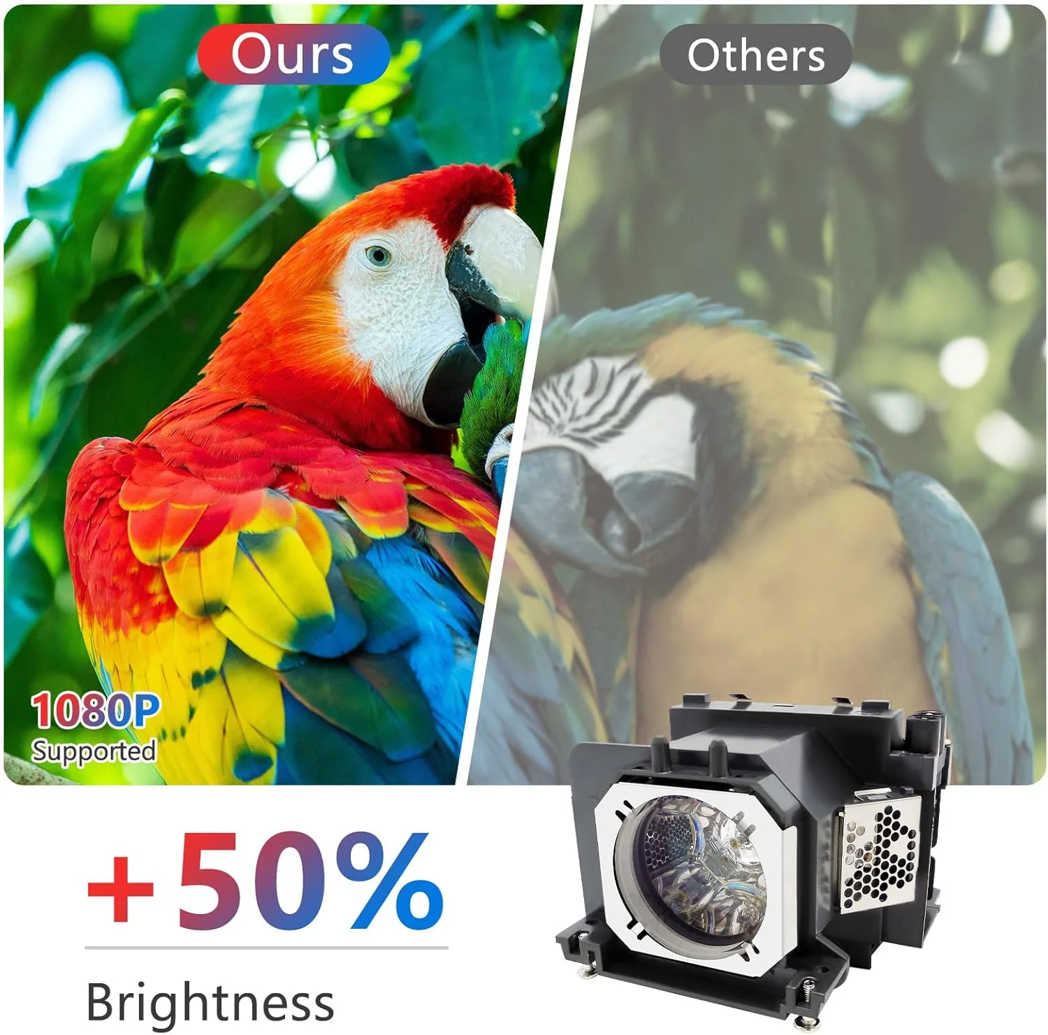 لامپ پروژکتور جایگزین با کیفیت A+ سوپرمیت ET-LAV400 ETLAV400 ET LAV400 به همراه محفظه سازگار با پروژکتورهای PANASONIC PT-VW530 / VW535N / VX600 / VX605N / VZ570 / VZ575N لامپ پروژکتور جایگزین با کیفیت A+ سوپرمیت ET-LAV400 ETLAV400 ET LAV400 به همراه محفظه سازگار با پروژکتورهای PANASONIC PT-VW530 / VW535N / VX600 / VX605N / VZ570 / VZ575N