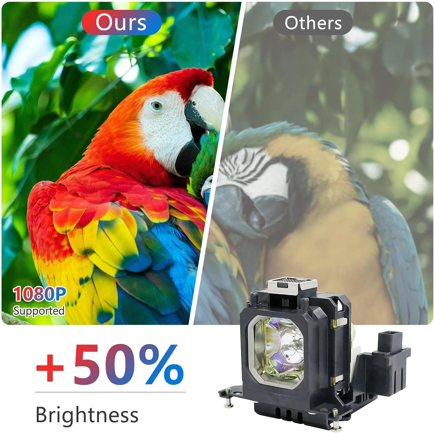 لامپ پروژکتور جایگزین با کیفیت A+ مدل POA-LMP135 610 344 5120 به همراه محفظه سازگار با پروژکتورهای SANYO PLC-XWU30 PLV-Z2000 PLV-Z700 LP-Z2000 LP-Z3000 PLV-1080HD PLV-Z3000 PLV-Z4000 PLV-Z800