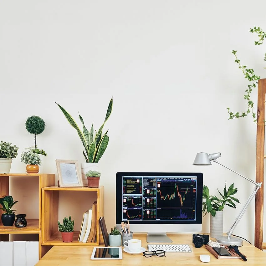 محافظ برق 6 خانه سفید رنگ با کلید تک پل، محافظت در برابر نوسانات برق، جمع شونده، 1.5 متری، محافظ کودک محافظ برق 6 خانه سفید رنگ با کلید تک پل، محافظت در برابر نوسانات برق، جمع شونده، 1.5 متری، محافظ کودک