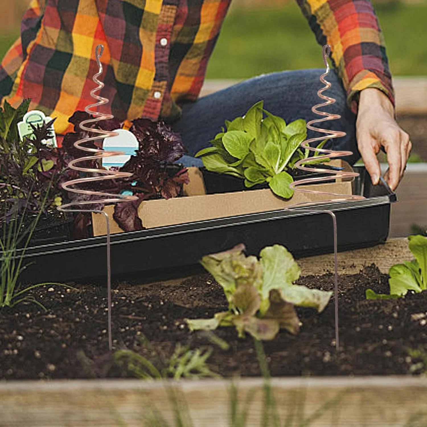 میله های مسی باغ | میله های سیم مسی برای باغبانی در فضای باز - میله های مارپیچی قوی برای پشتیبانی از رشد سبزیجات، گل ها، توری و محوطه سازی باغ میله های مسی باغ | میله های سیم مسی برای باغبانی در فضای باز - میله های مارپیچی قوی برای پشتیبانی از رشد سبزیجات، گل ها، توری و محوطه سازی باغ