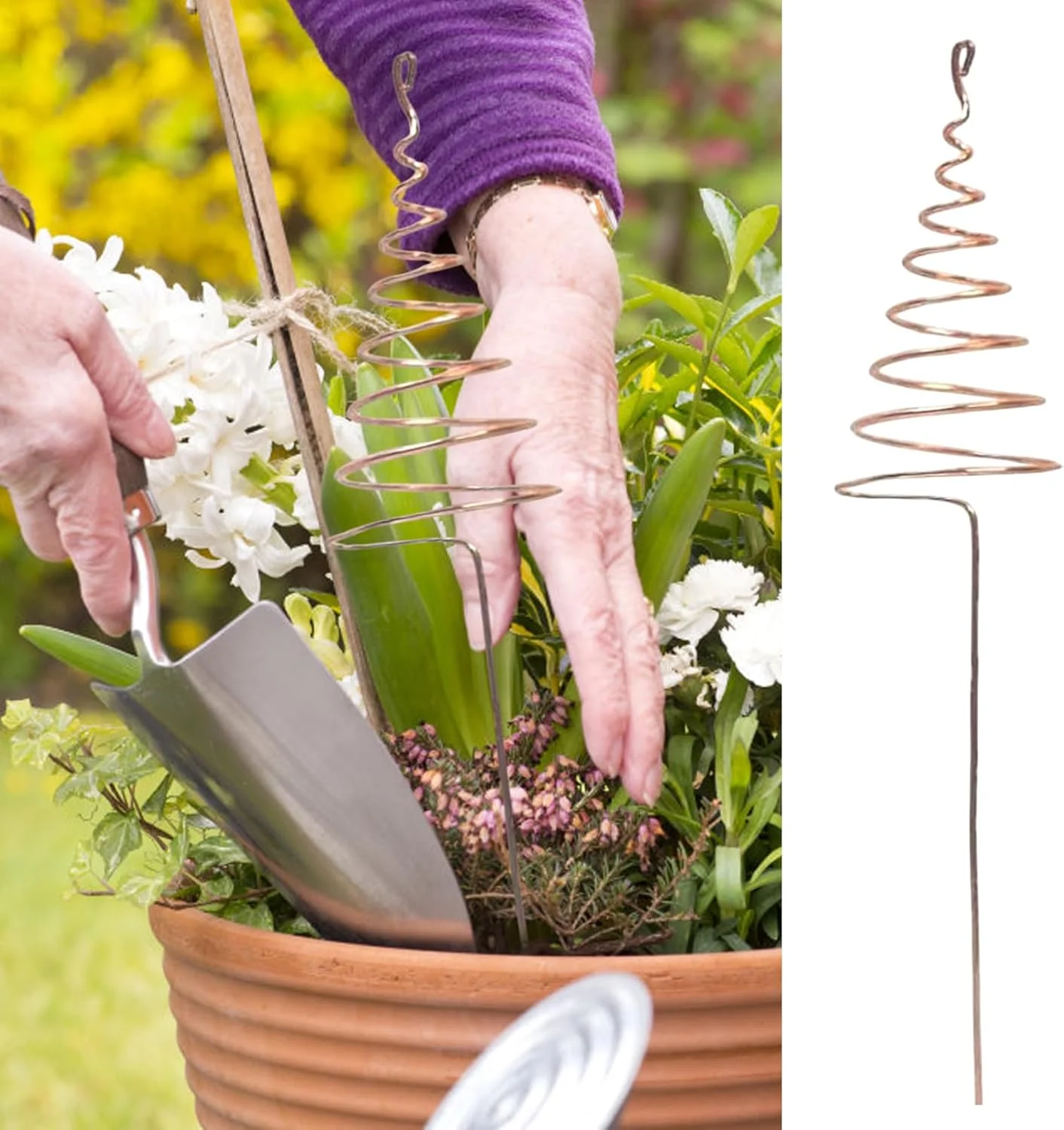 میله های مسی باغ | میله های سیم مسی برای باغبانی در فضای باز - میله های مارپیچی قوی برای پشتیبانی از رشد سبزیجات، گل ها، توری و محوطه سازی باغ میله های مسی باغ | میله های سیم مسی برای باغبانی در فضای باز - میله های مارپیچی قوی برای پشتیبانی از رشد سبزیجات، گل ها، توری و محوطه سازی باغ